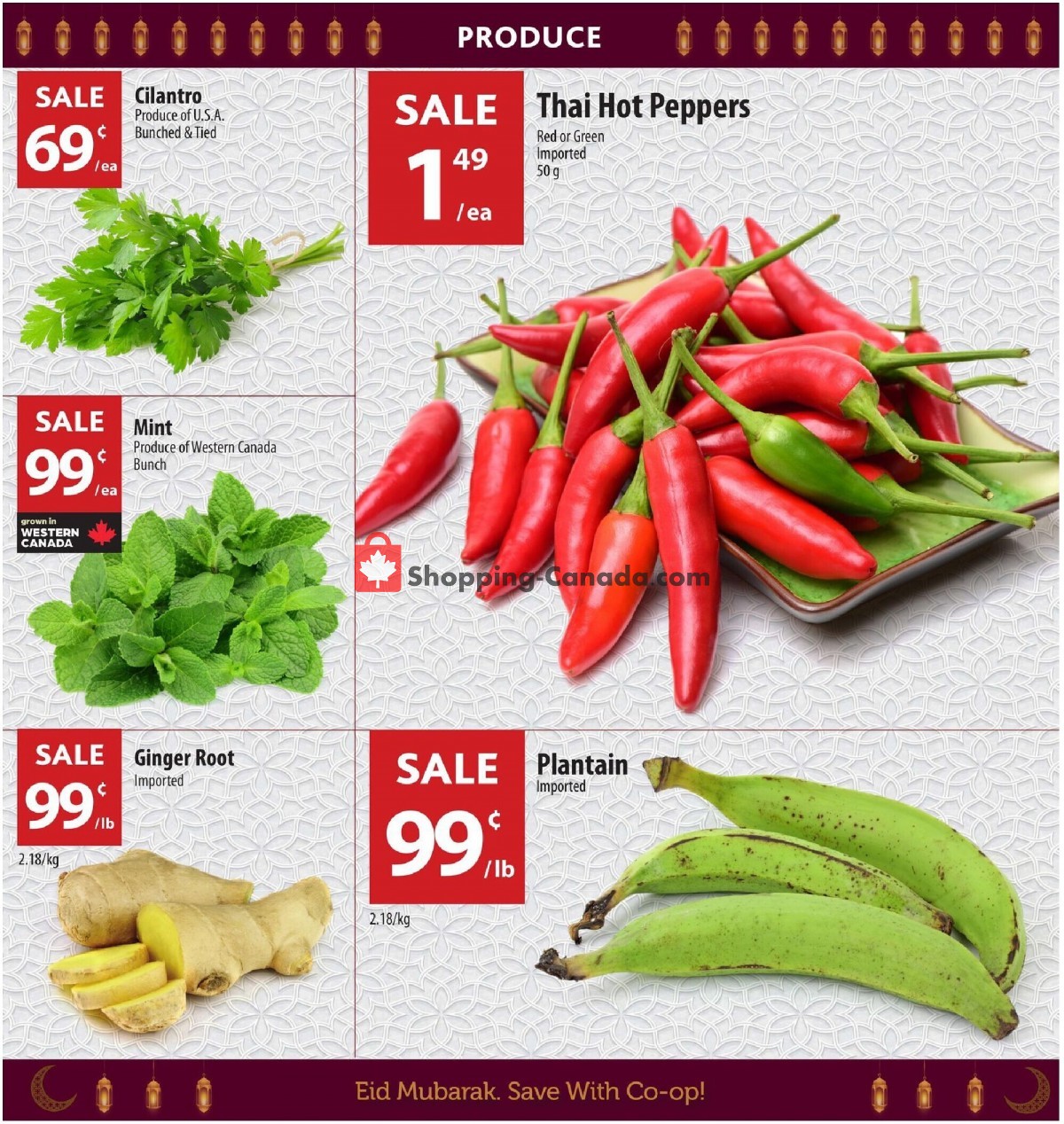Co-op flyer from Thursday June 23, 2022 to Wednesday July 13, 2022 - page 3
