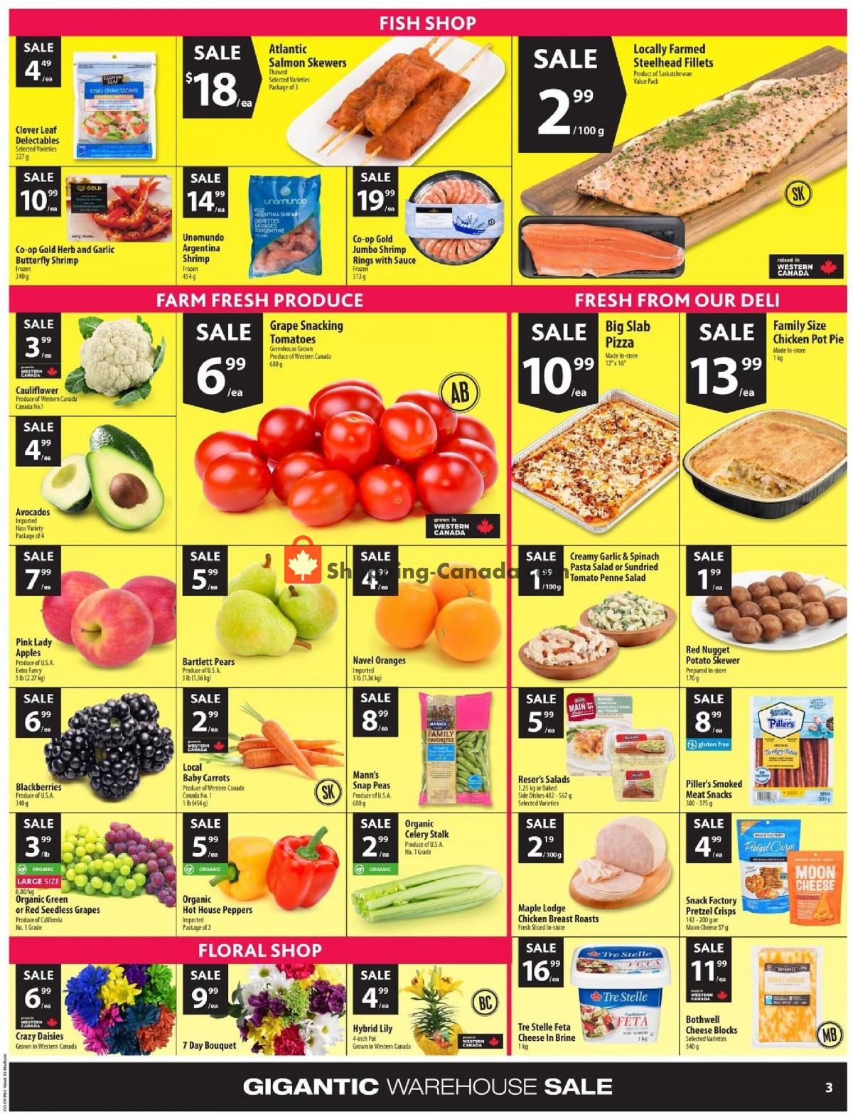 Coop Canada, flyer (Food Gigantic Warehouse Sale ON) August 25 August 31, 2022