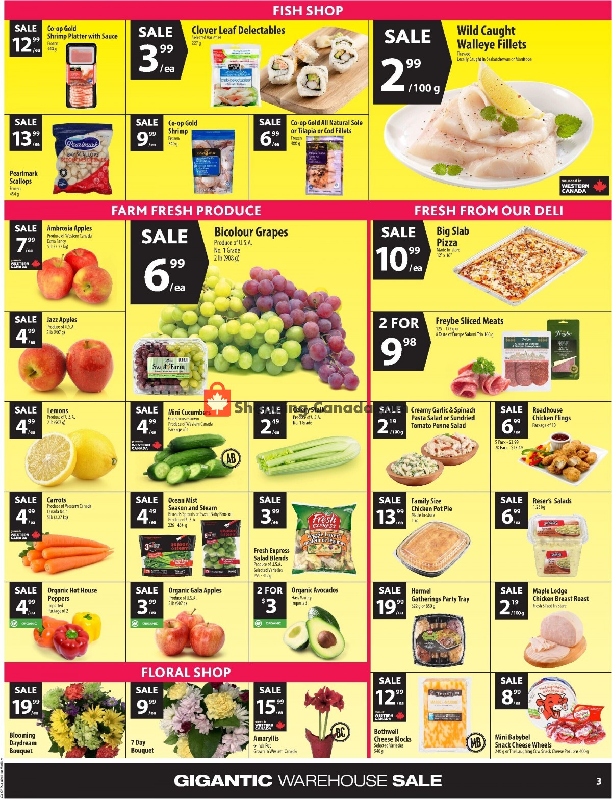 Coop Canada, flyer (Food Gigantic Warehouse Sale ON) November