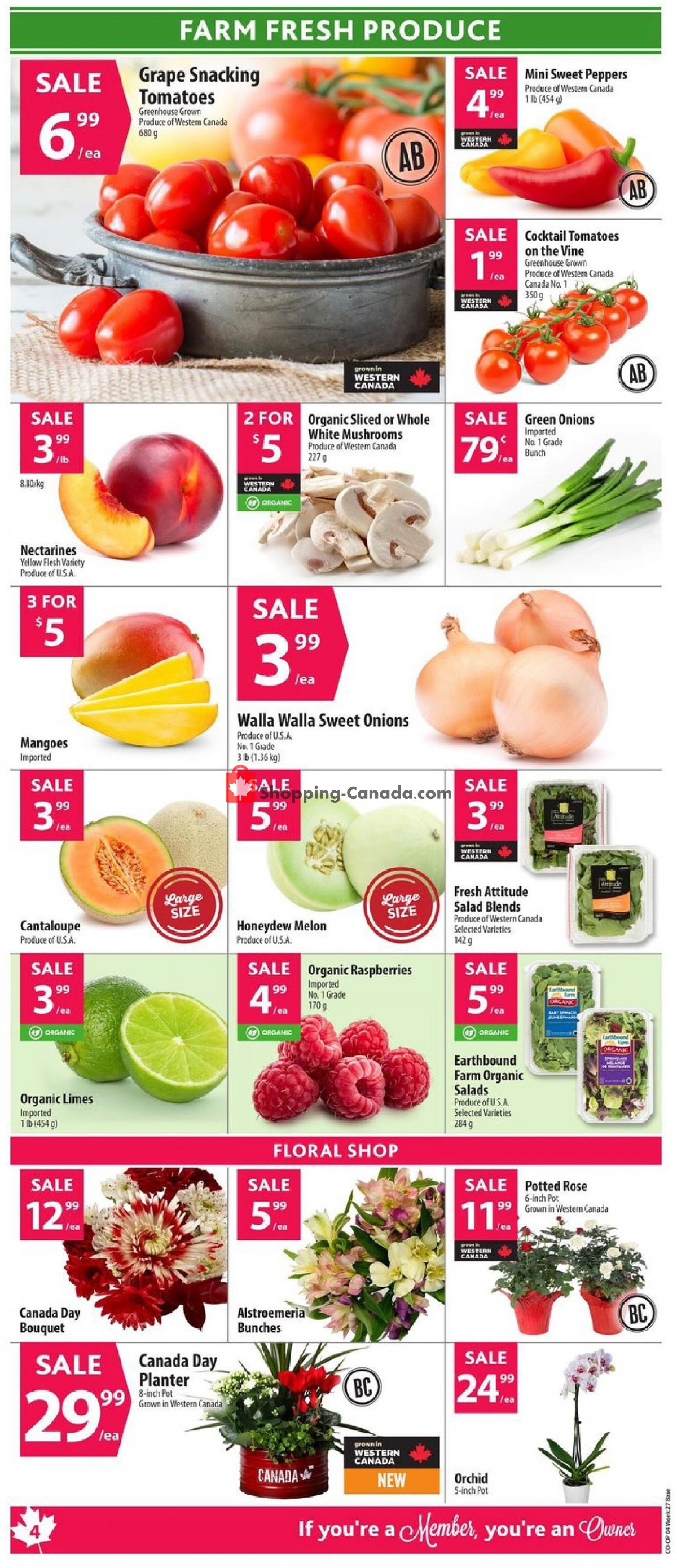 Co-op flyer from Thursday June 30, 2022 to Wednesday July 6, 2022 - page 8