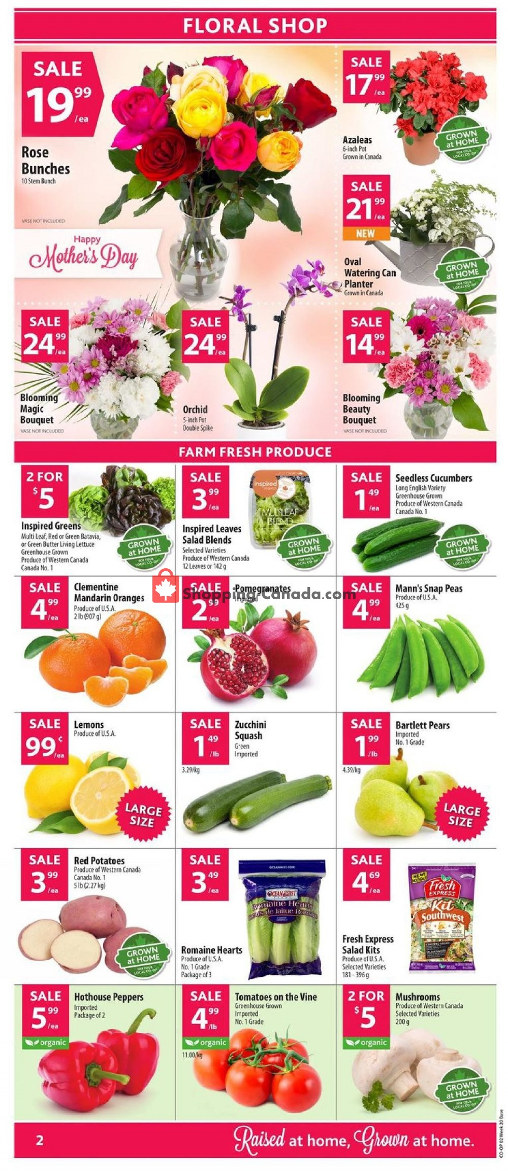 Co-op flyer from Thursday May 9, 2019 to Wednesday May 15, 2019 - page 3