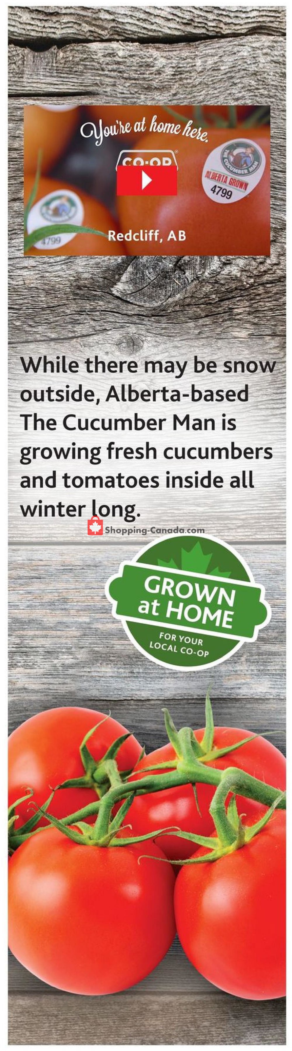 Co-op flyer from Thursday December 27, 2018 to Wednesday January 2, 2019 - page 4