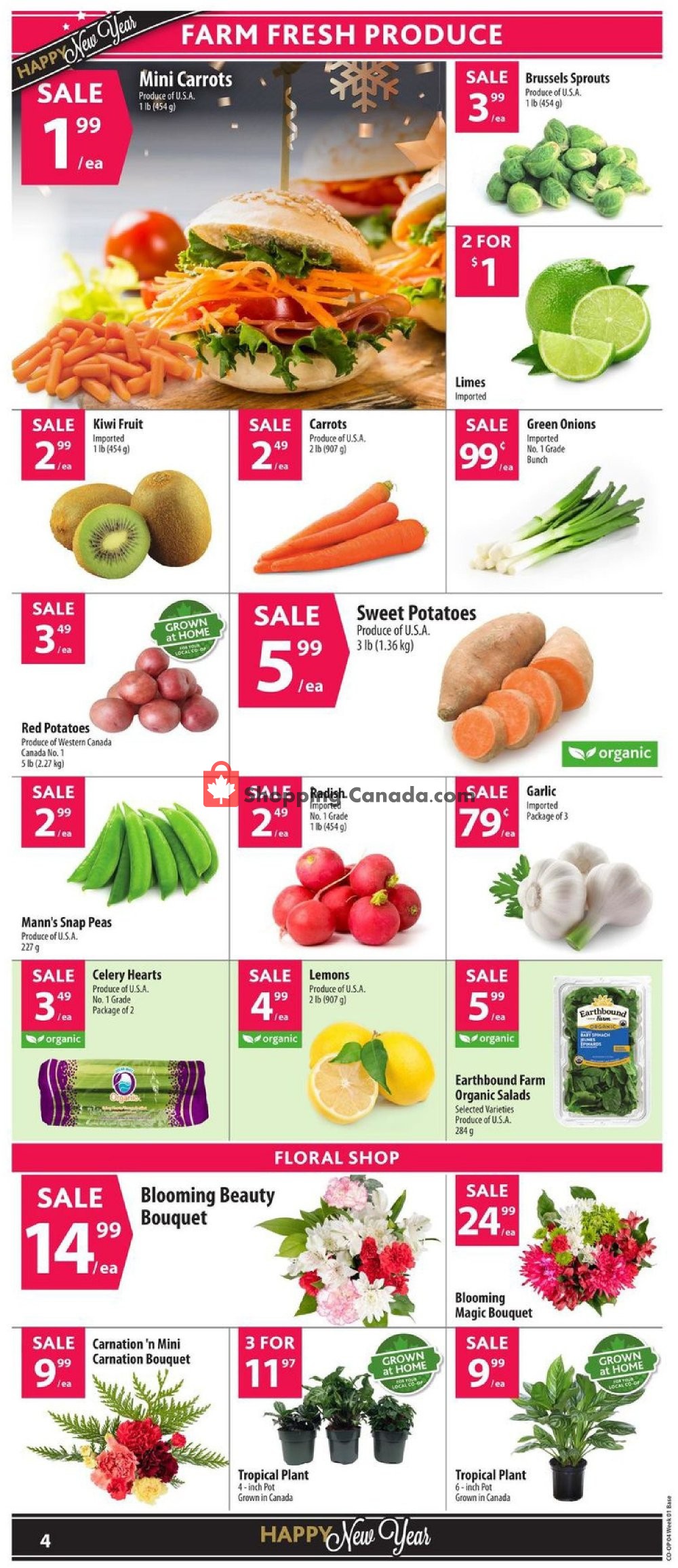 Co-op flyer from Thursday December 27, 2018 to Wednesday January 2, 2019 - page 6
