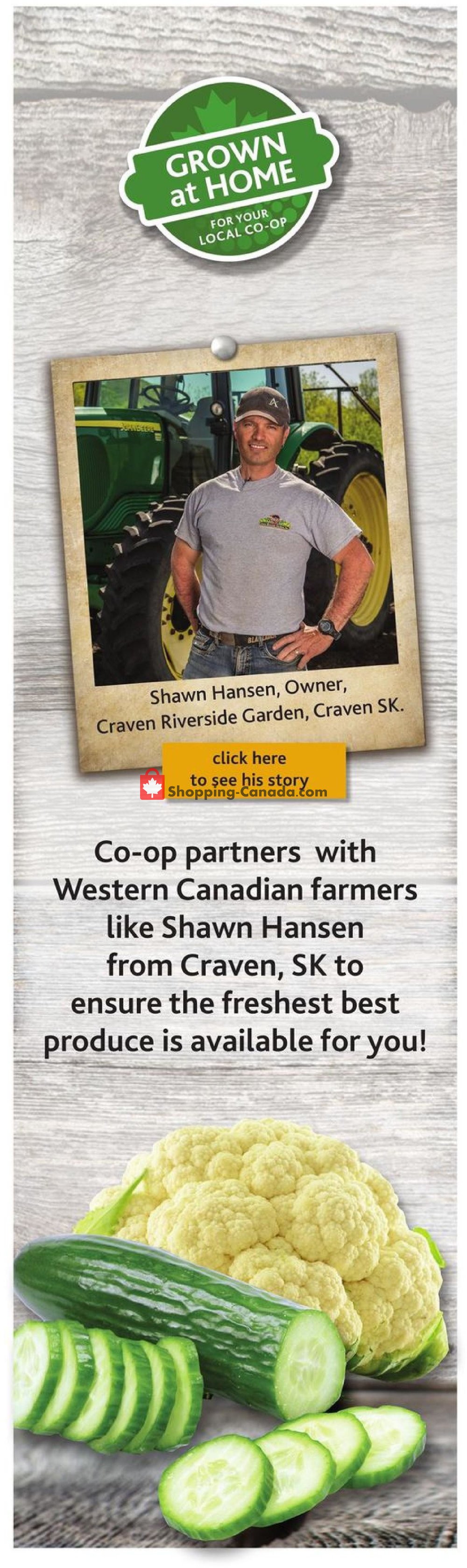 Co-op flyer from Thursday August 1, 2019 to Wednesday August 7, 2019 - page 7