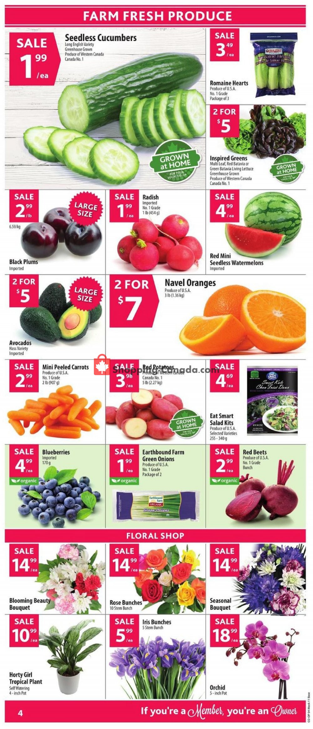 Co-op flyer from Thursday March 7, 2019 to Wednesday March 13, 2019 - page 6