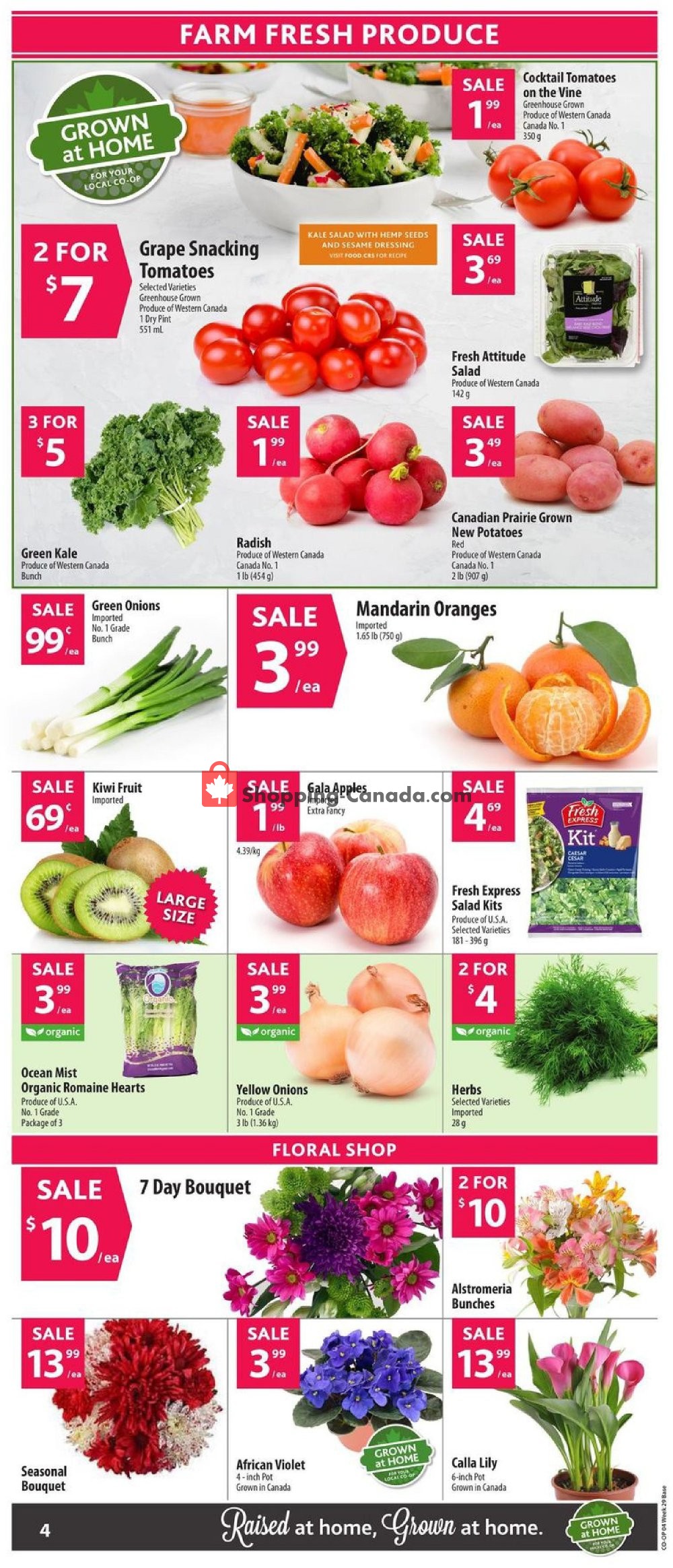 Co-op flyer from Thursday July 11, 2019 to Wednesday July 17, 2019 - page 6