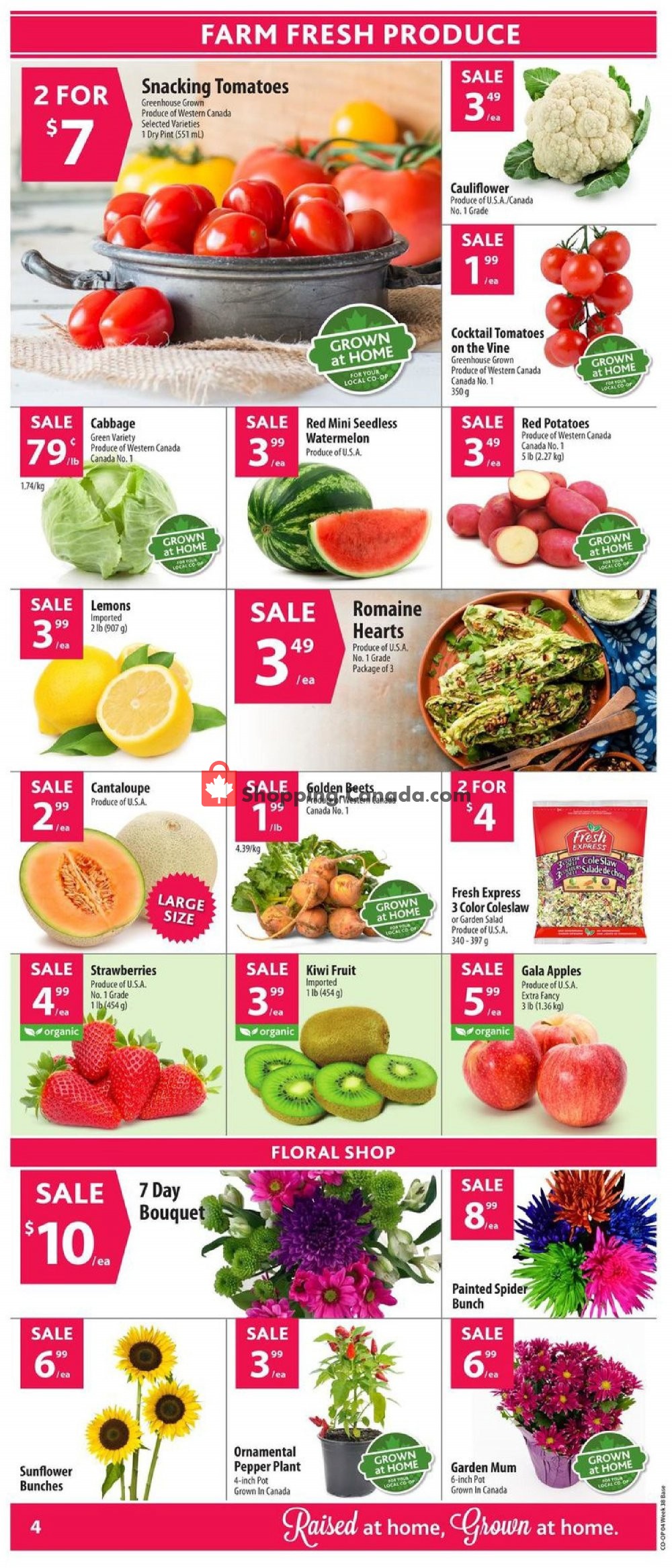 Co-op flyer from Thursday September 12, 2019 to Wednesday September 18, 2019 - page 6