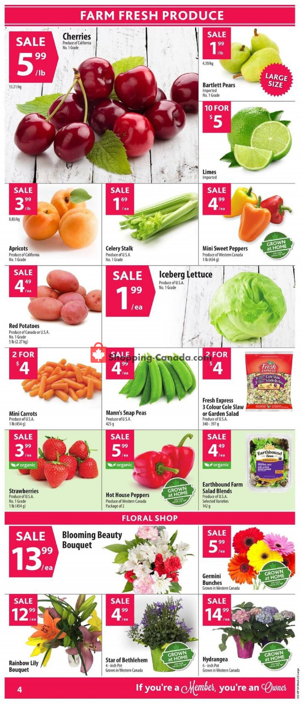 Co-op flyer from Thursday June 4, 2020 to Wednesday June 10, 2020 - page 6