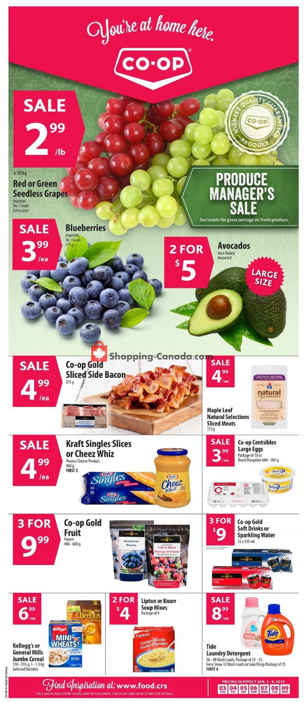Co-op flyer from Thursday January 3, 2019 to Wednesday January 9, 2019 - page 1
