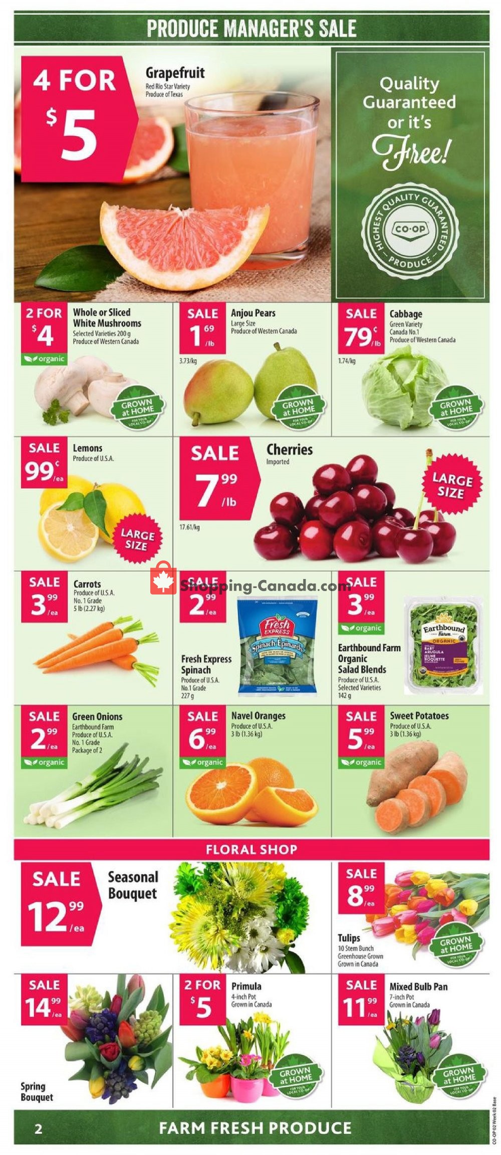 Co-op flyer from Thursday January 3, 2019 to Wednesday January 9, 2019 - page 3