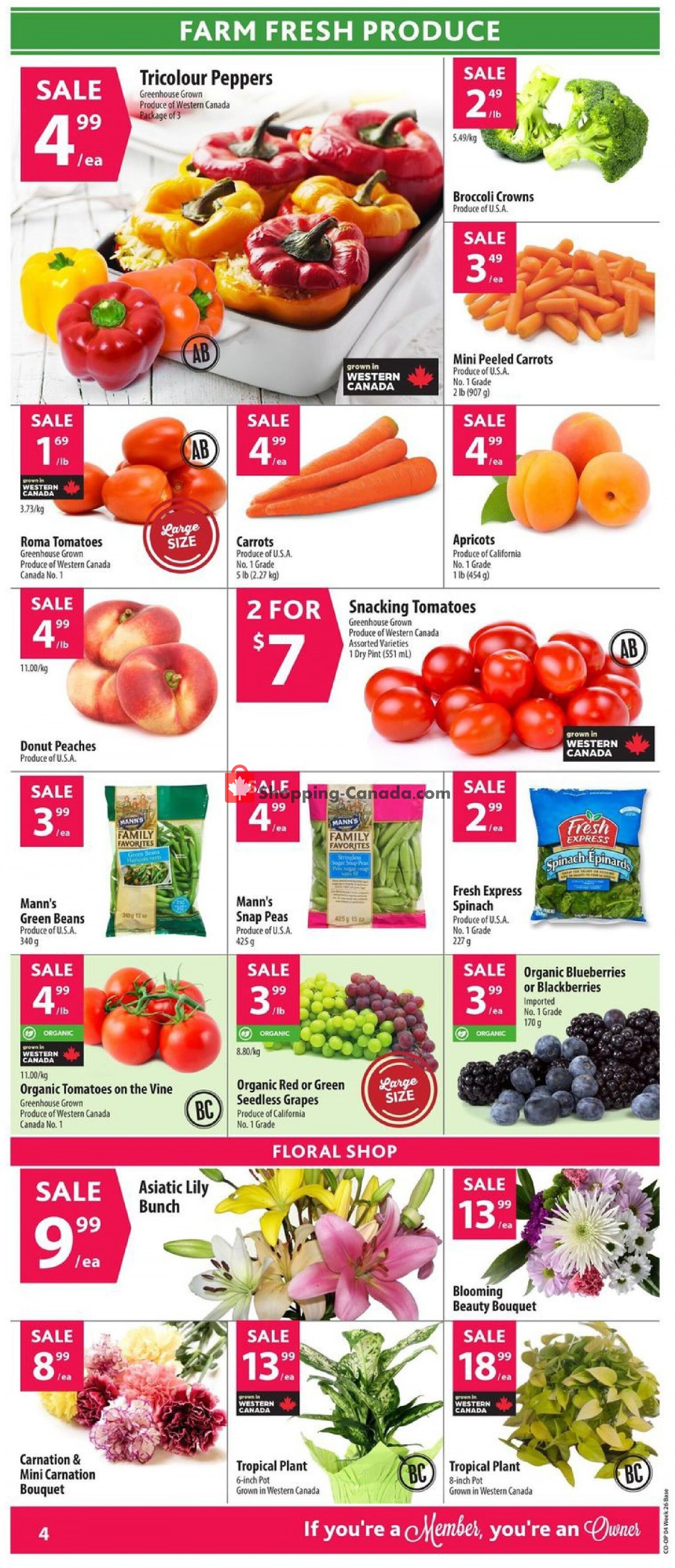 Co-op flyer from Thursday June 23, 2022 to Wednesday June 29, 2022 - page 7