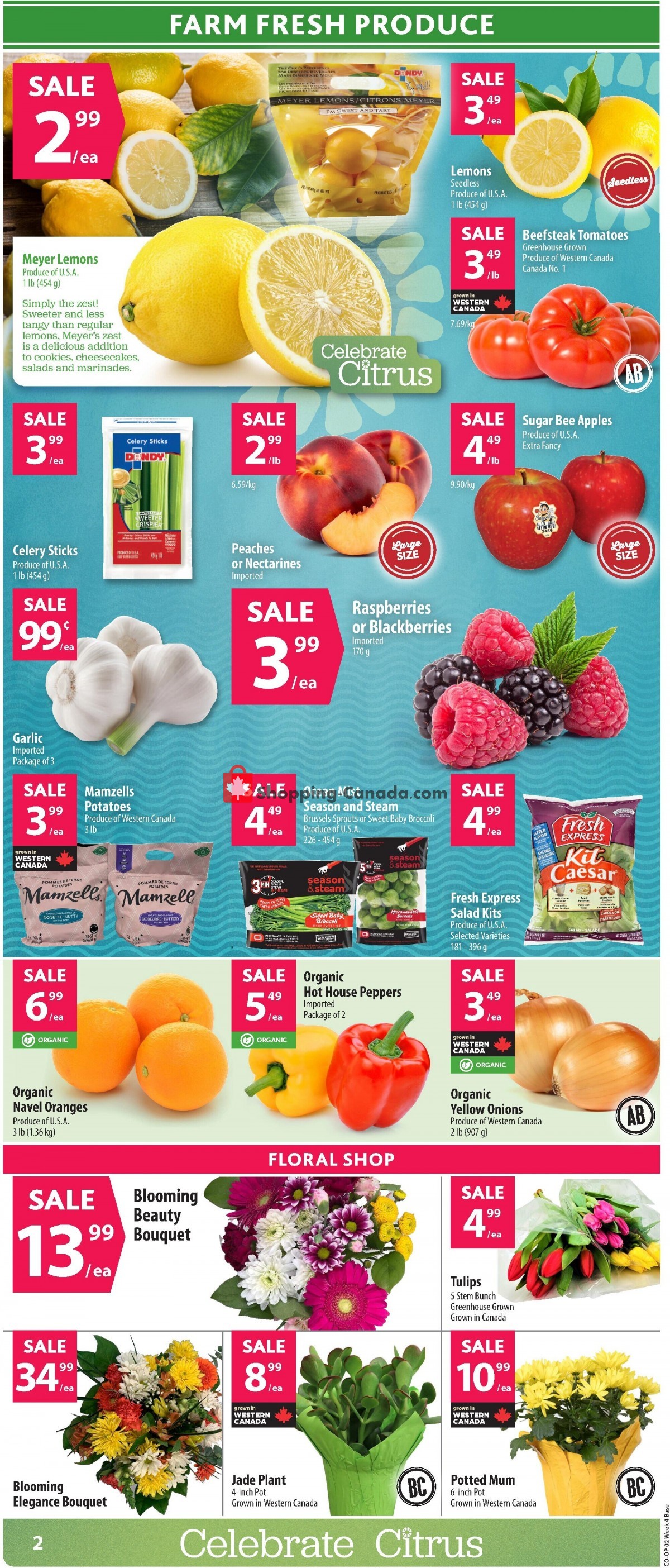 Co-op flyer from Thursday January 19, 2023 to Wednesday January 25, 2023 - page 4