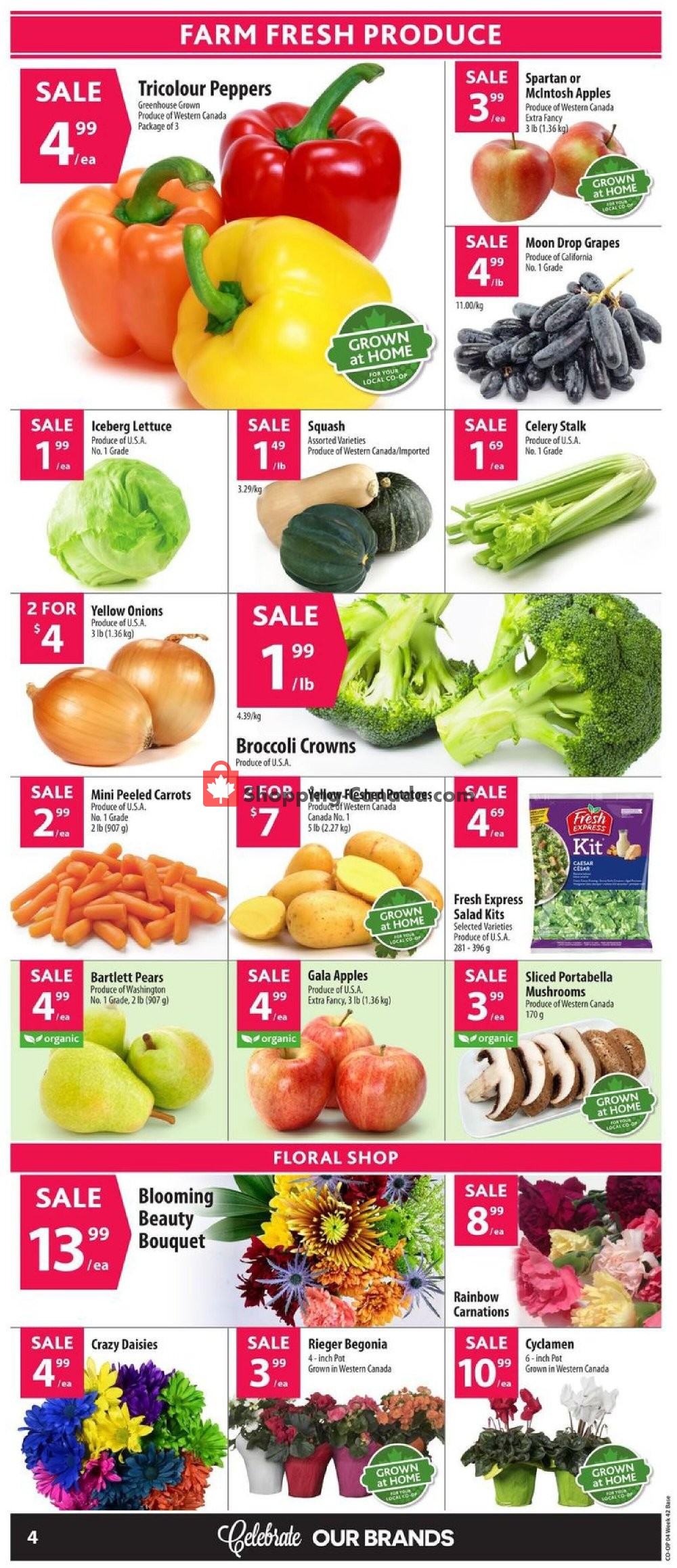 Co-op flyer from Thursday October 15, 2020 to Wednesday October 21, 2020 - page 7