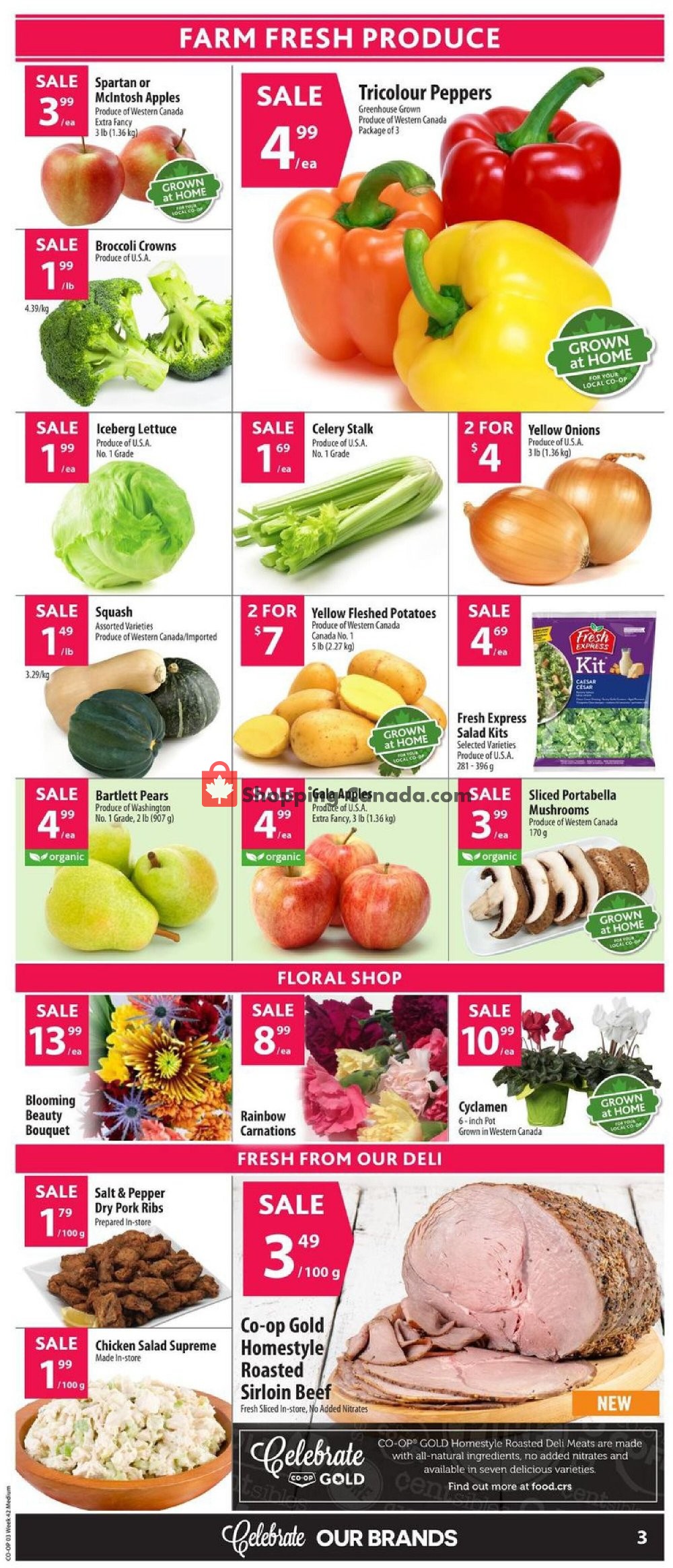 Co-op flyer from Thursday October 15, 2020 to Wednesday October 21, 2020 - page 6
