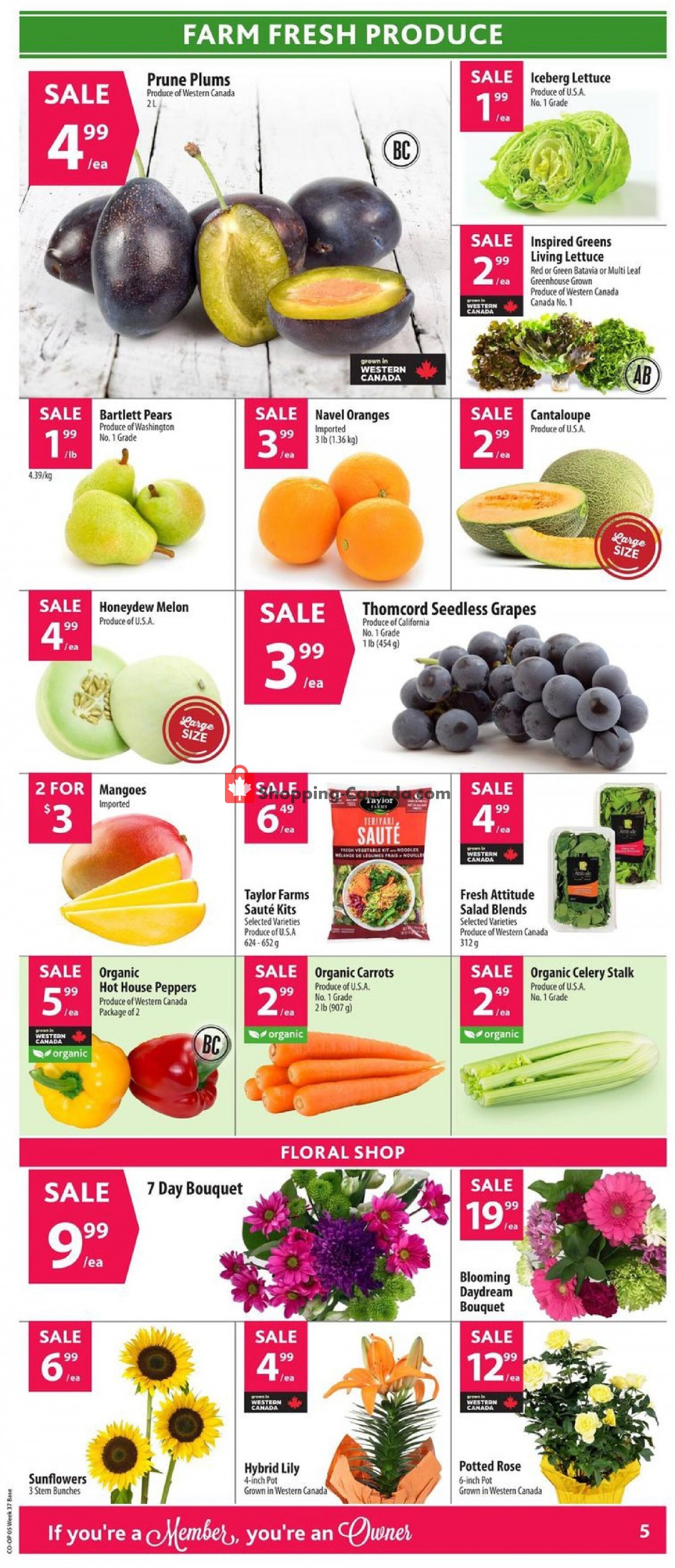 Co-op flyer from Thursday September 9, 2021 to Wednesday September 15, 2021 - page 12