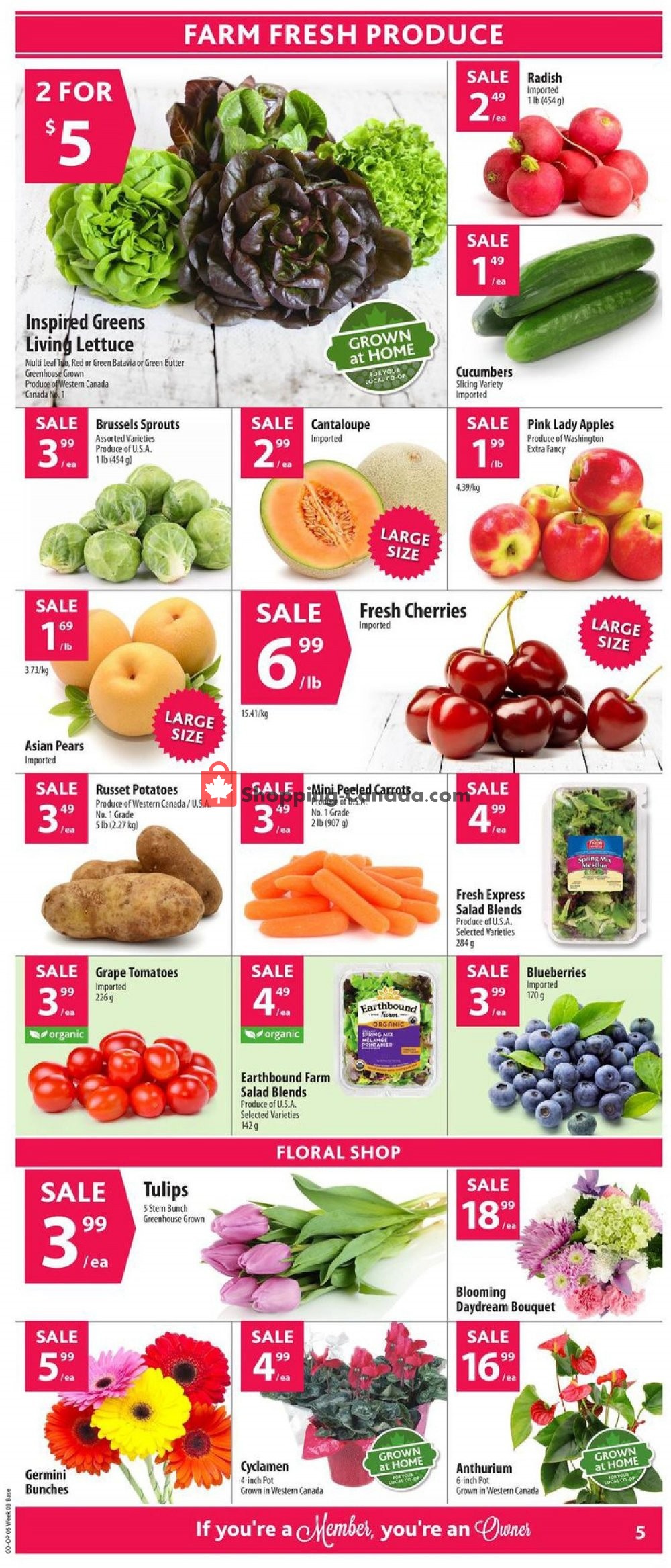 Co-op flyer from Thursday January 16, 2020 to Wednesday January 22, 2020 - page 6