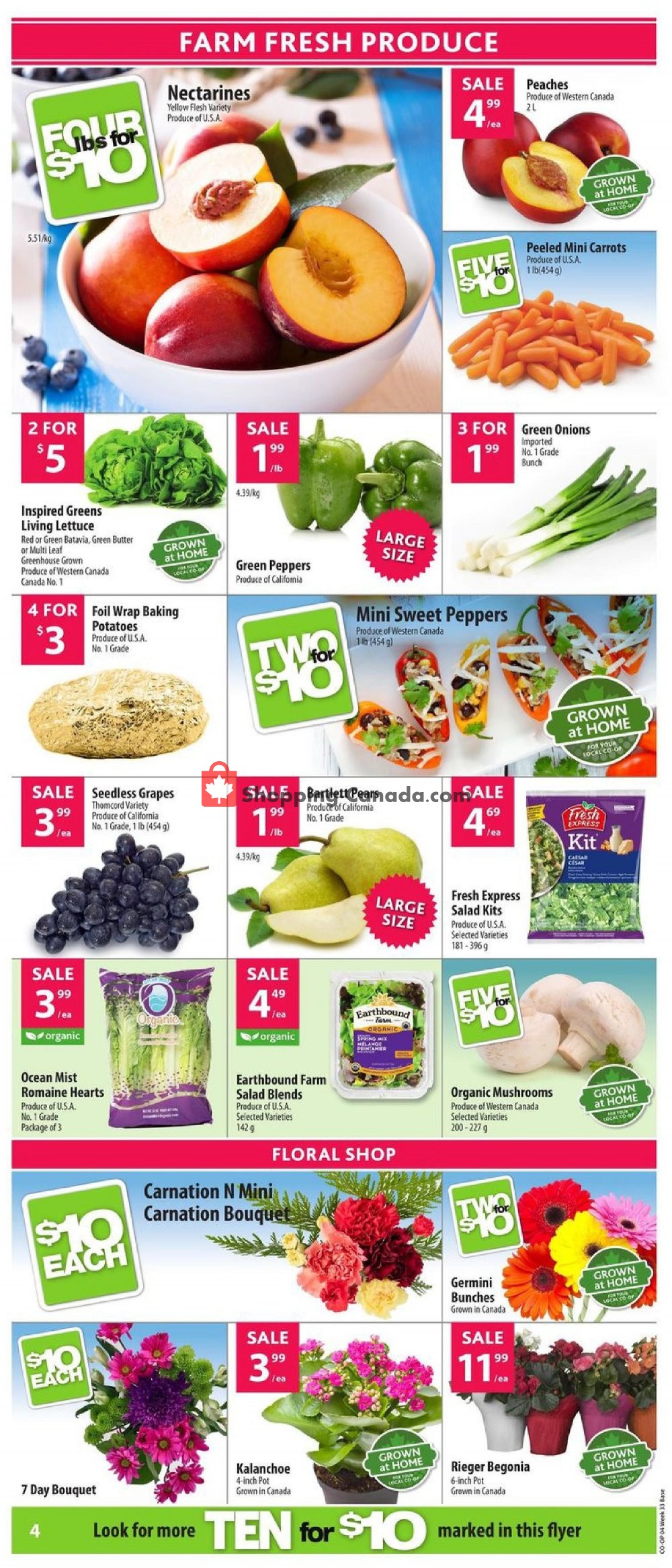 Co-op flyer from Thursday August 8, 2019 to Wednesday August 14, 2019 - page 5