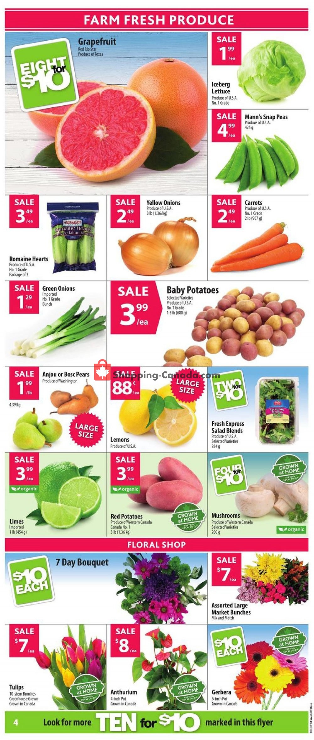 Co-op flyer from Thursday February 21, 2019 to Wednesday February 27, 2019 - page 5