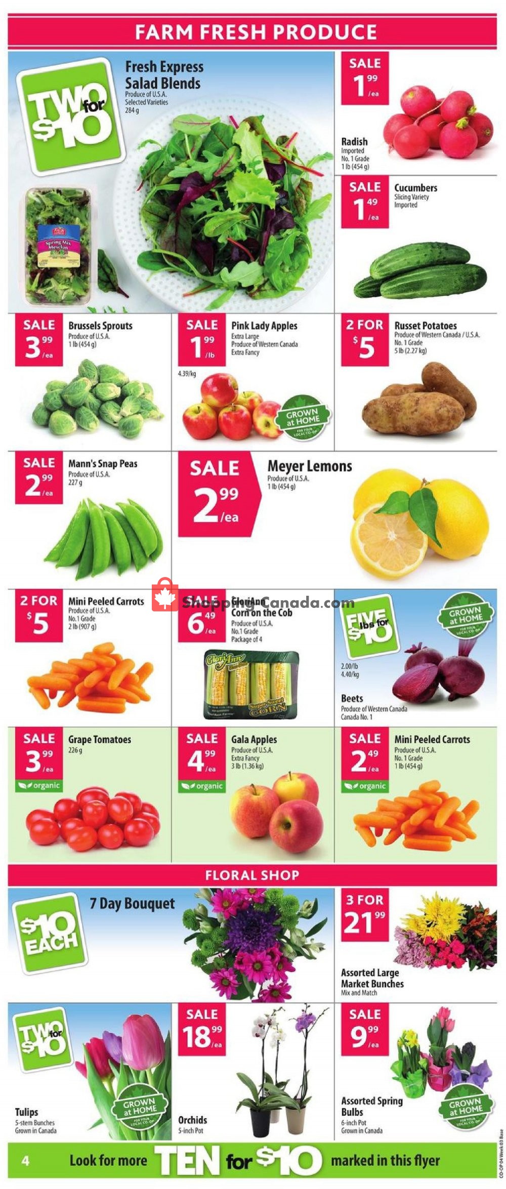 Co-op flyer from Thursday January 10, 2019 to Wednesday January 16, 2019 - page 6