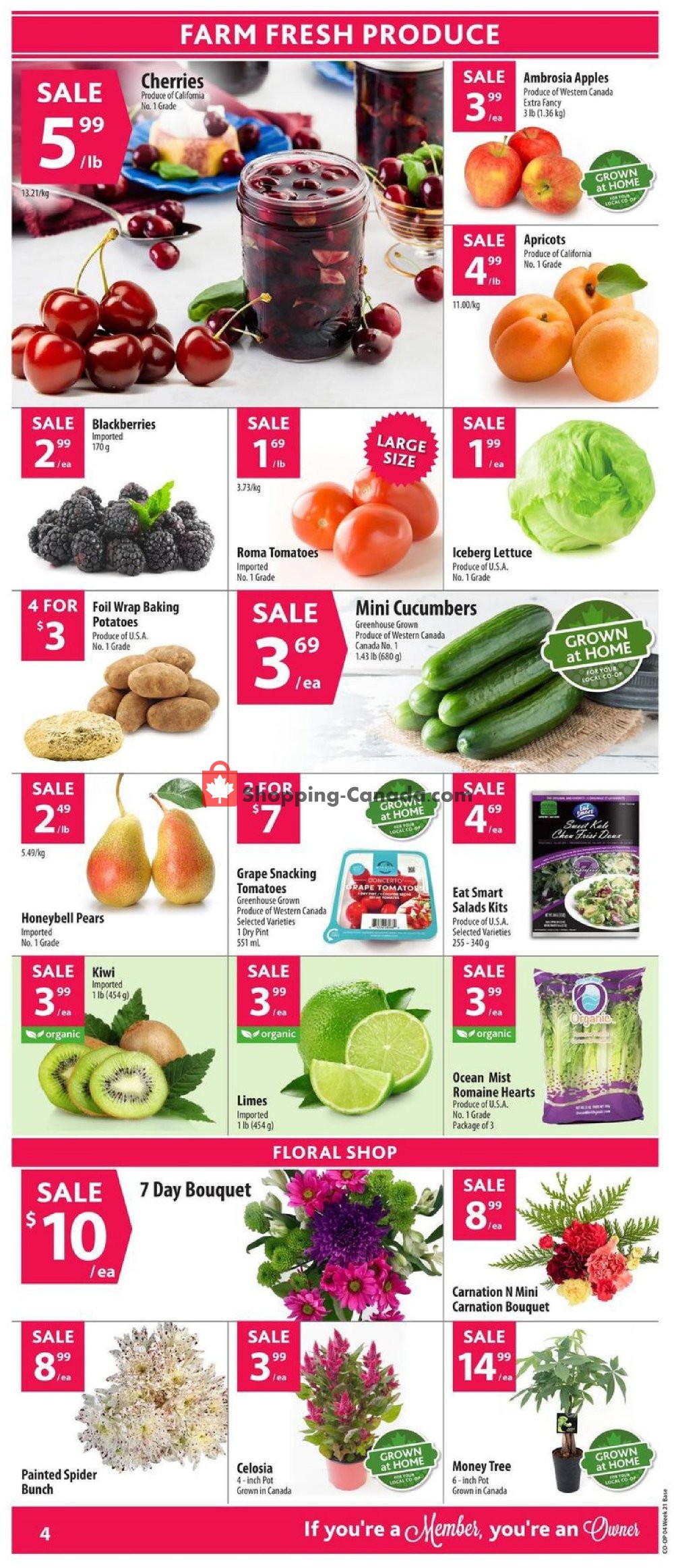 Co-op flyer from Thursday May 16, 2019 to Wednesday May 22, 2019 - page 6