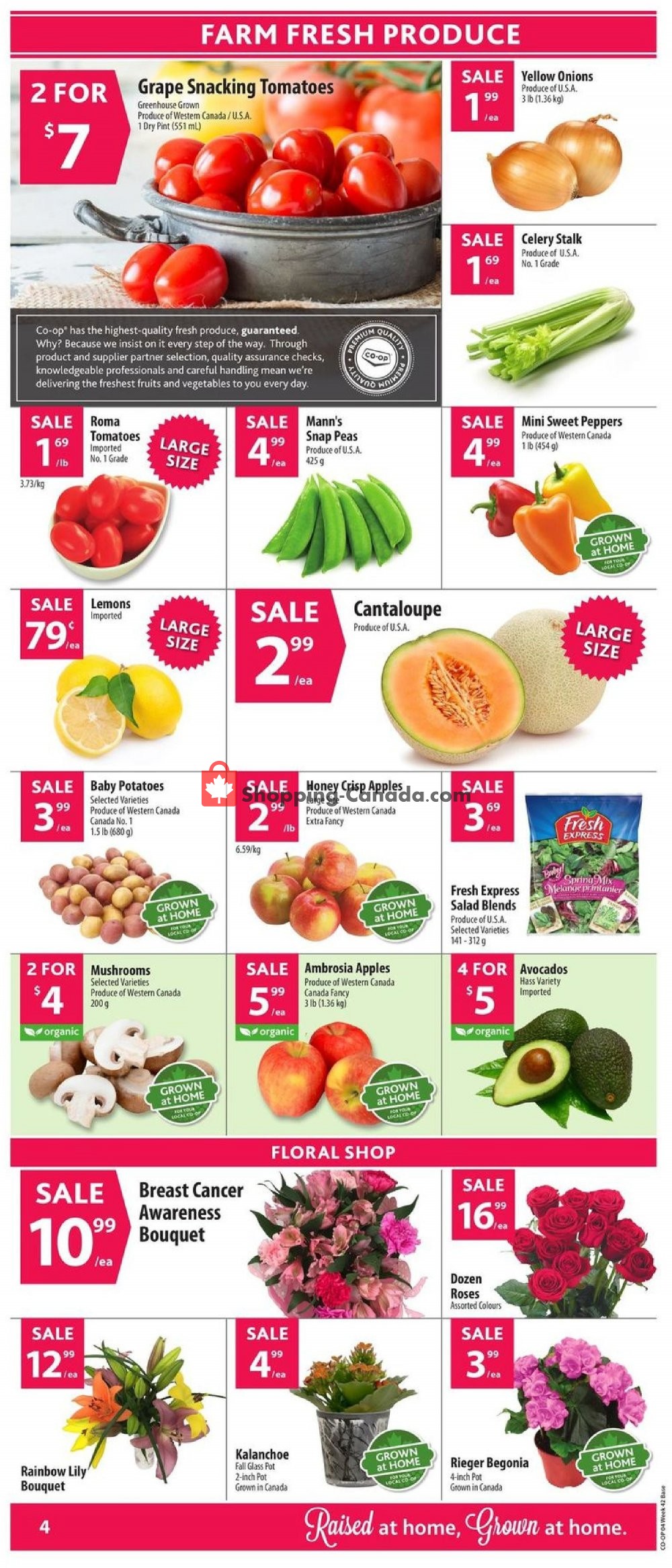 Co-op flyer from Thursday October 11, 2018 to Tuesday October 16, 2018 - page 5