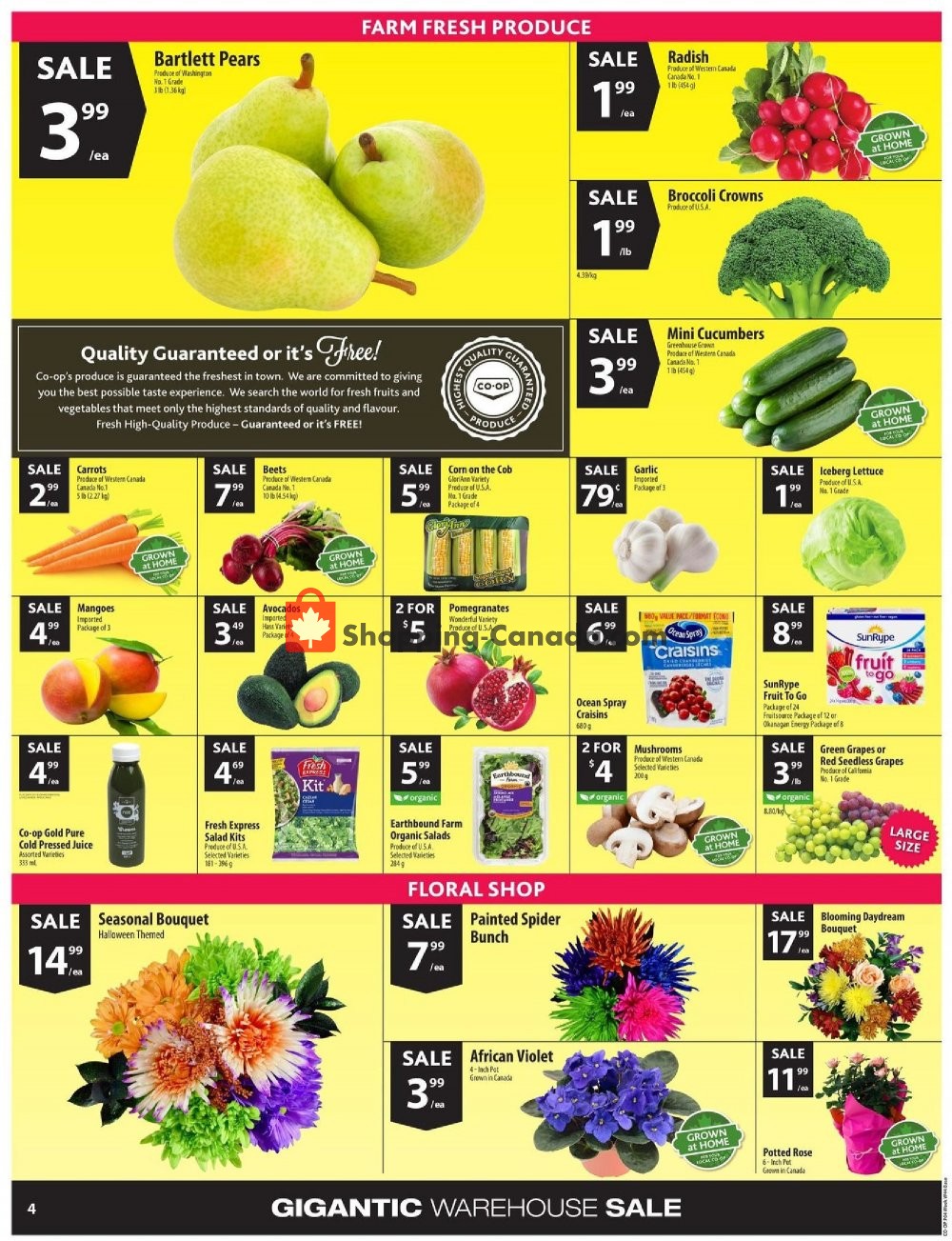 Co-op flyer from Thursday October 25, 2018 to Wednesday October 31, 2018 - page 5