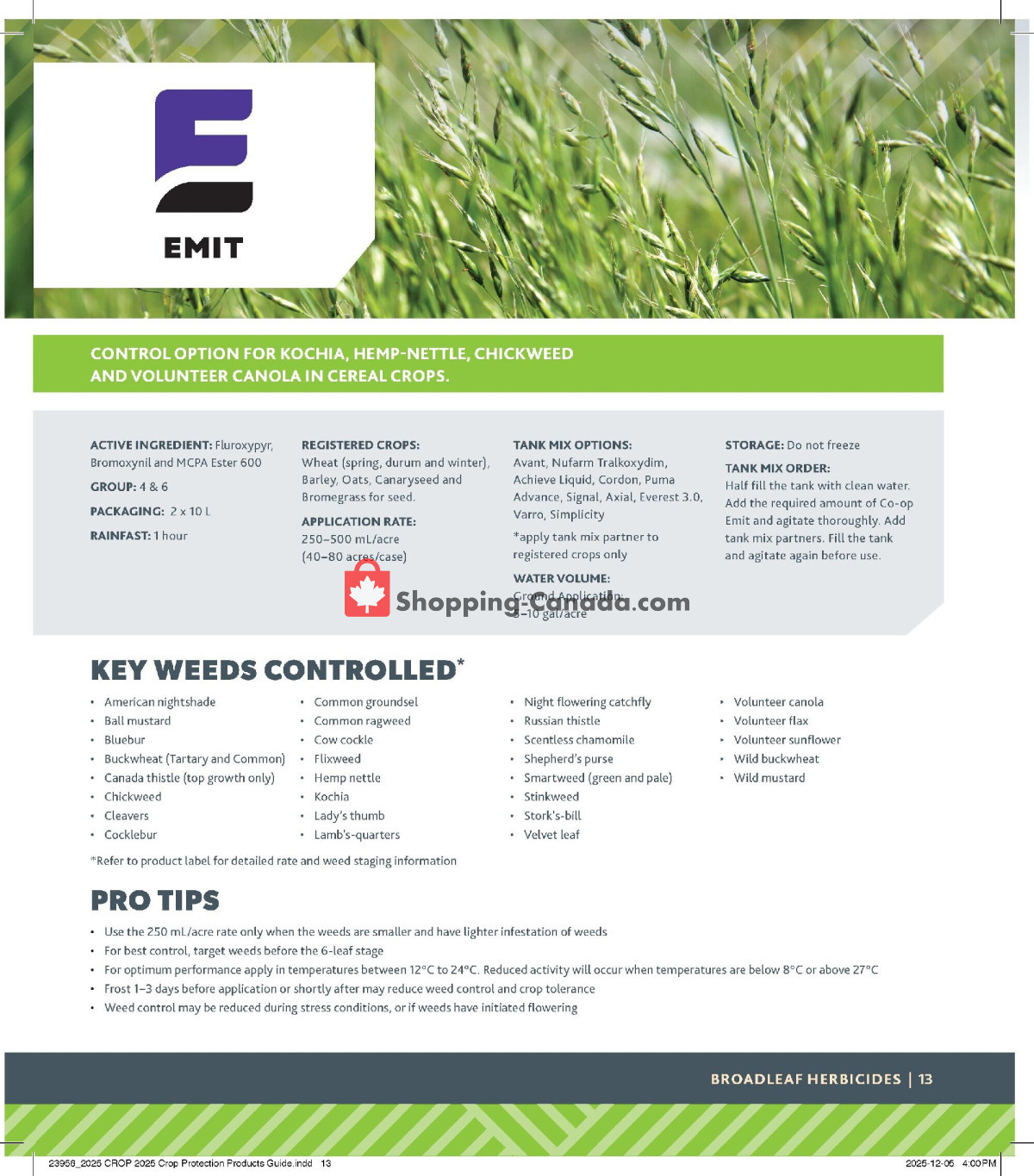 Co-op flyer from Monday December 29, 2025 to Thursday December 24, 2026 - page 13