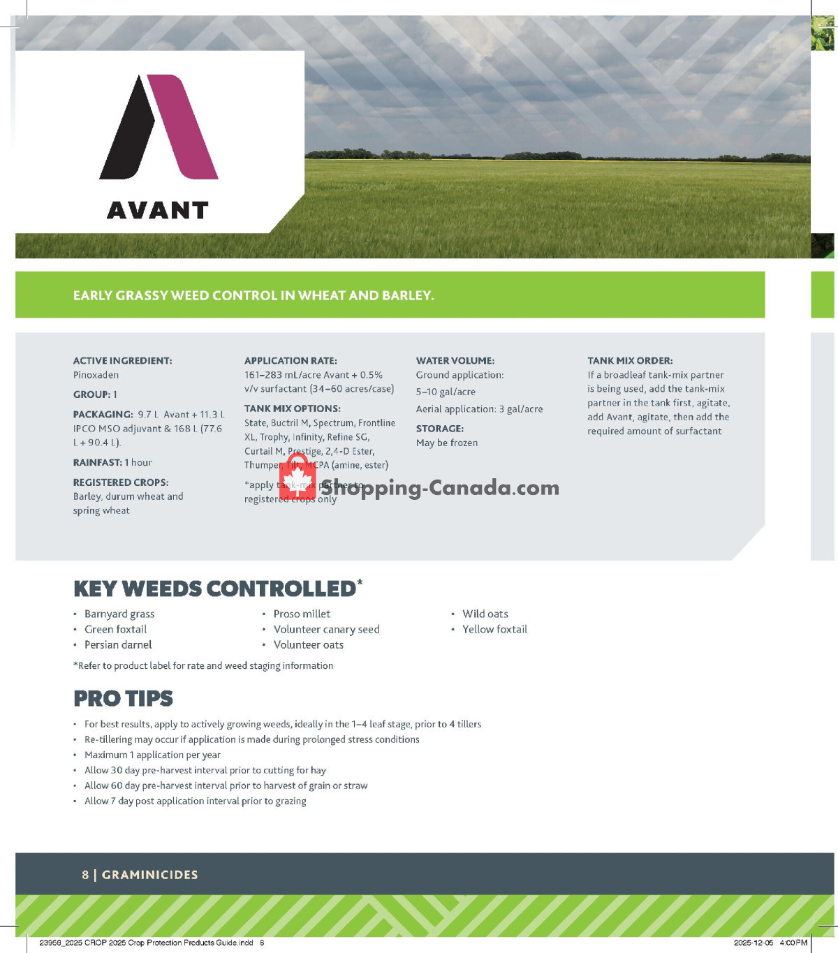 Co-op flyer from Monday December 29, 2025 to Thursday December 24, 2026 - page 8