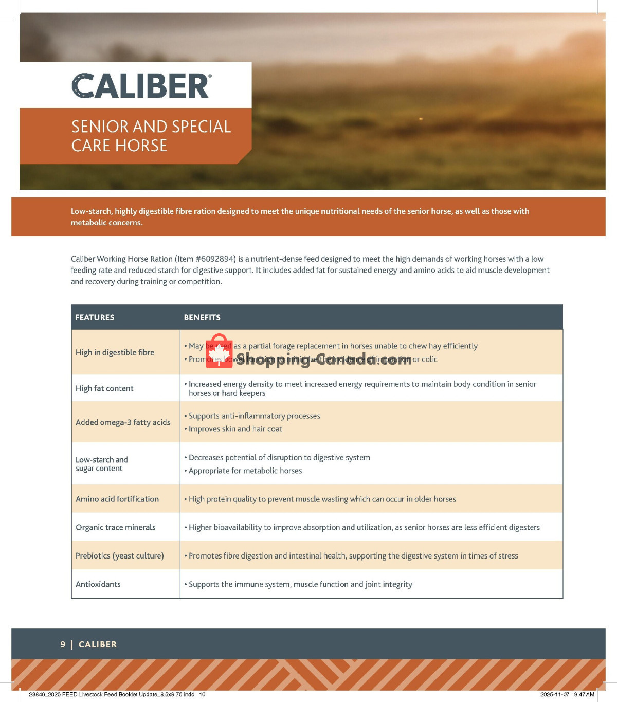 Co-op flyer from Thursday January 15, 2026 to Wednesday January 6, 2027 - page 10