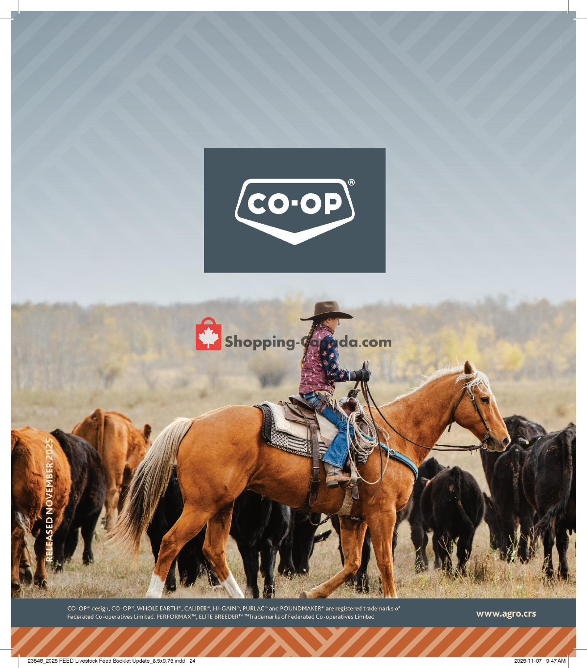 Co-op flyer from Thursday January 15, 2026 to Wednesday January 6, 2027 - page 24