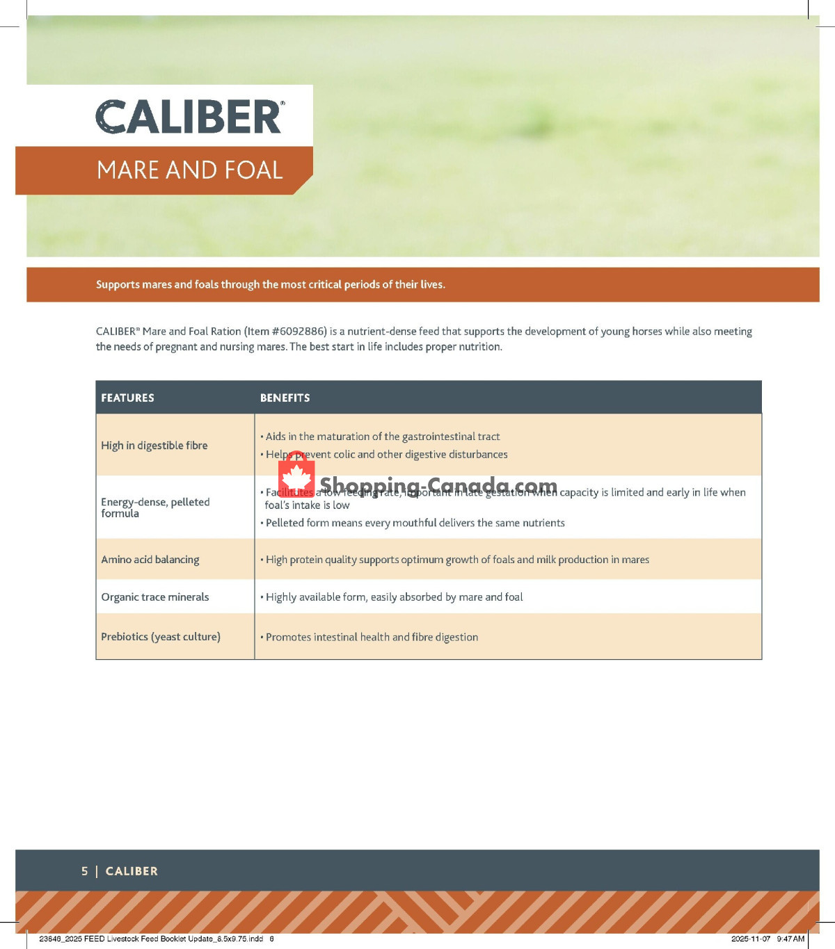 Co-op flyer from Thursday January 15, 2026 to Wednesday January 6, 2027 - page 6