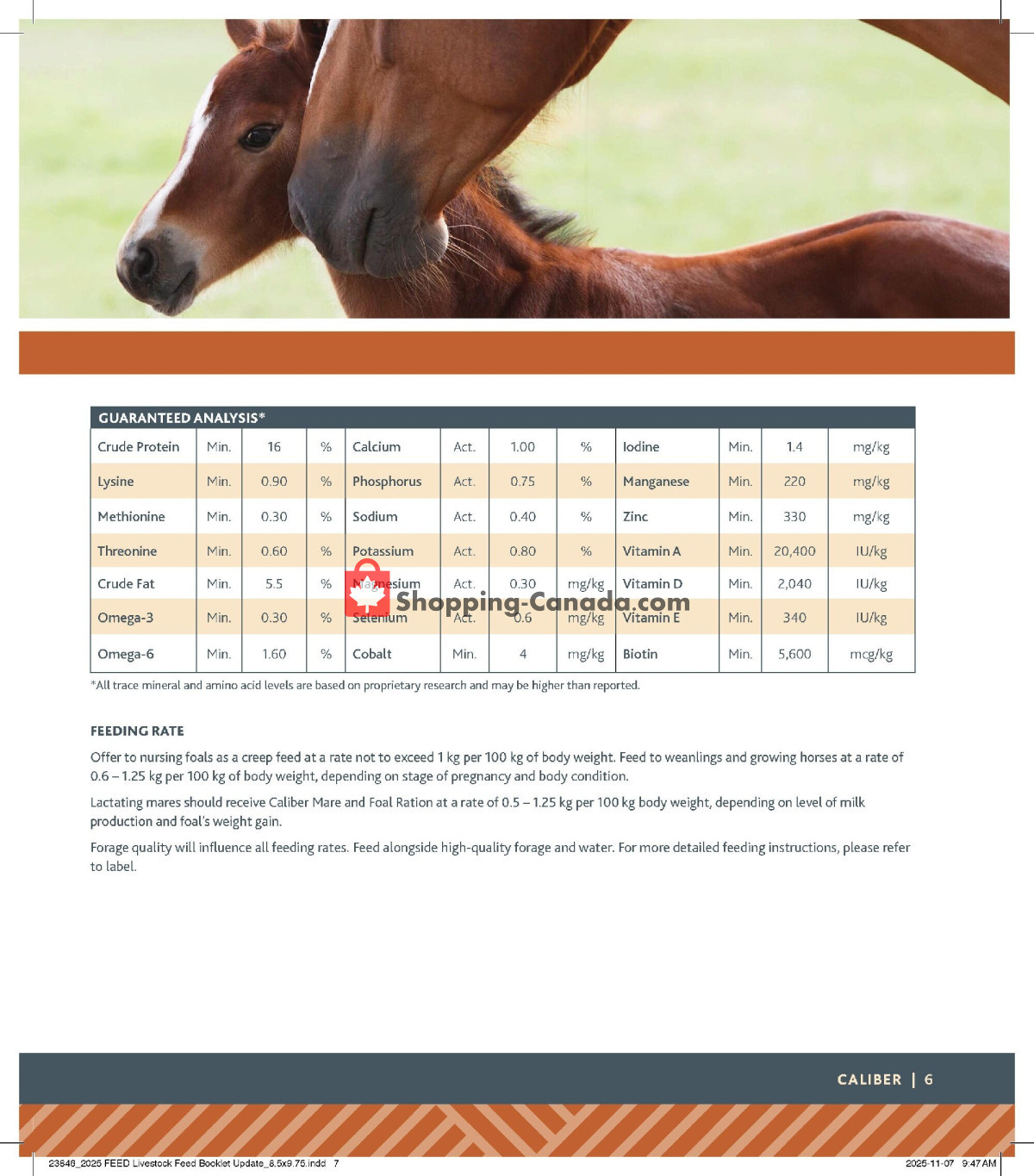 Co-op flyer from Thursday January 15, 2026 to Wednesday January 6, 2027 - page 7