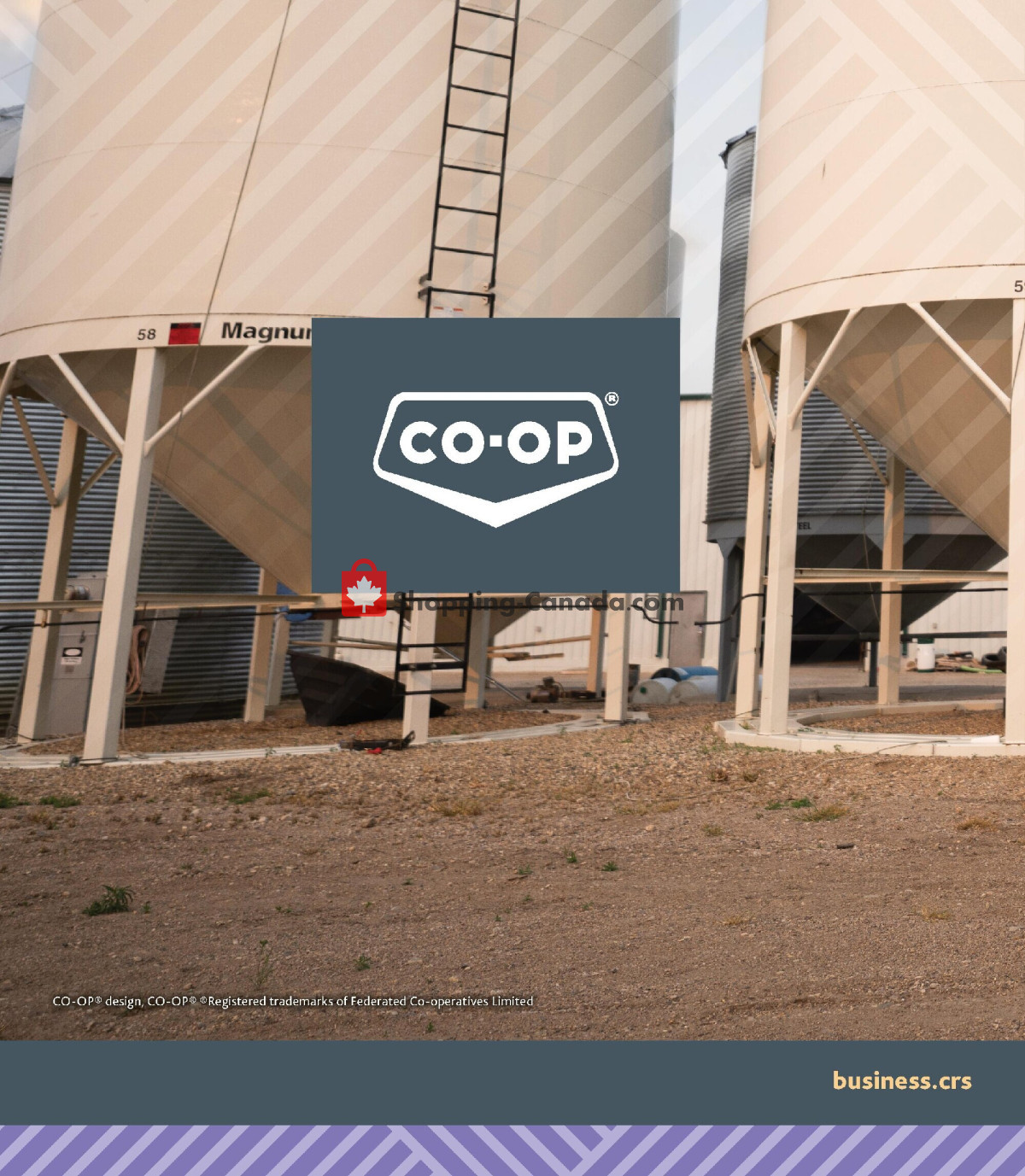 Co-op flyer from Thursday June 18, 2026 to Thursday August 13, 2026 - page 8