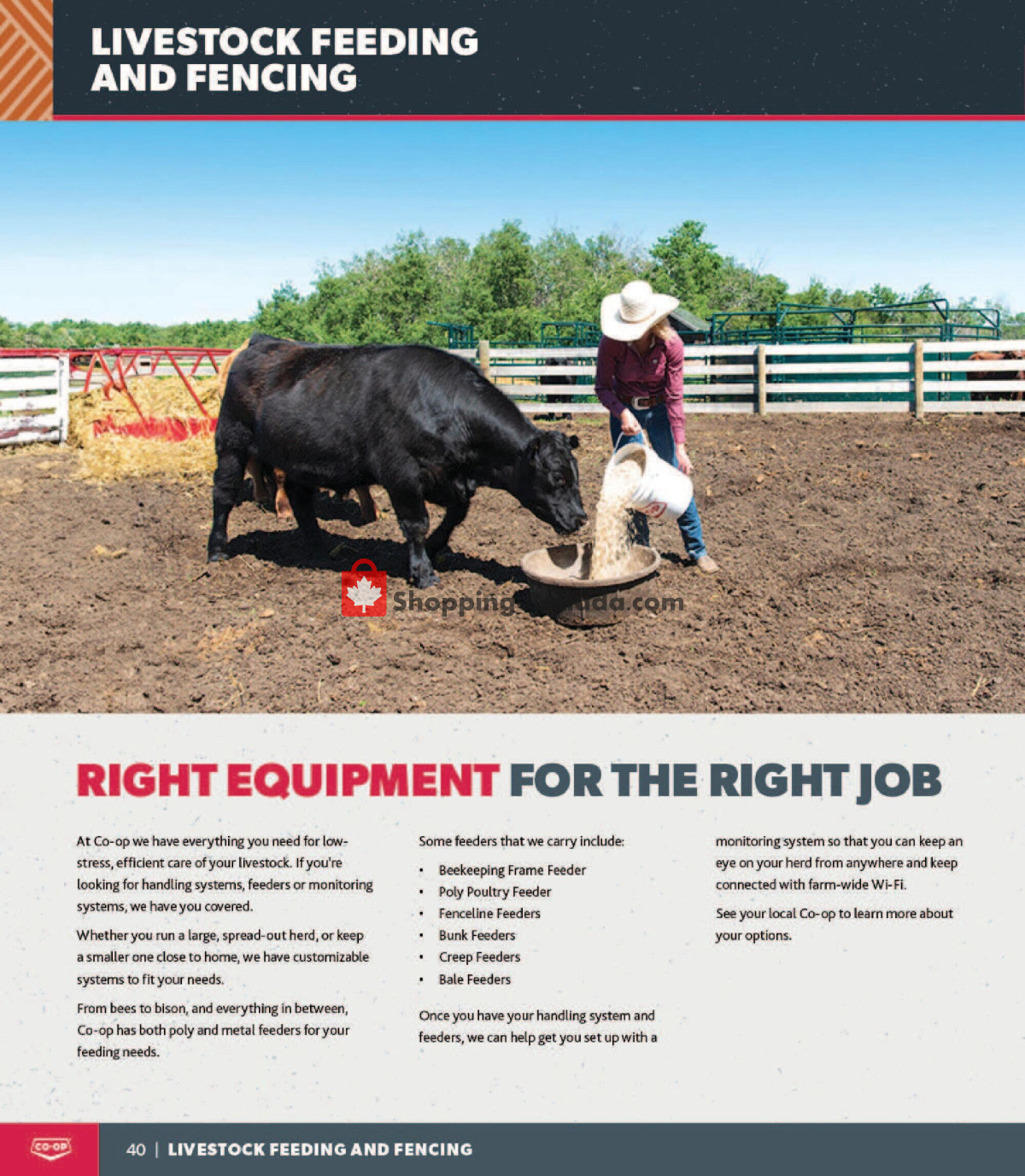 Co-op flyer from Thursday October 31, 2024 to Saturday October 31, 2026 - page 40