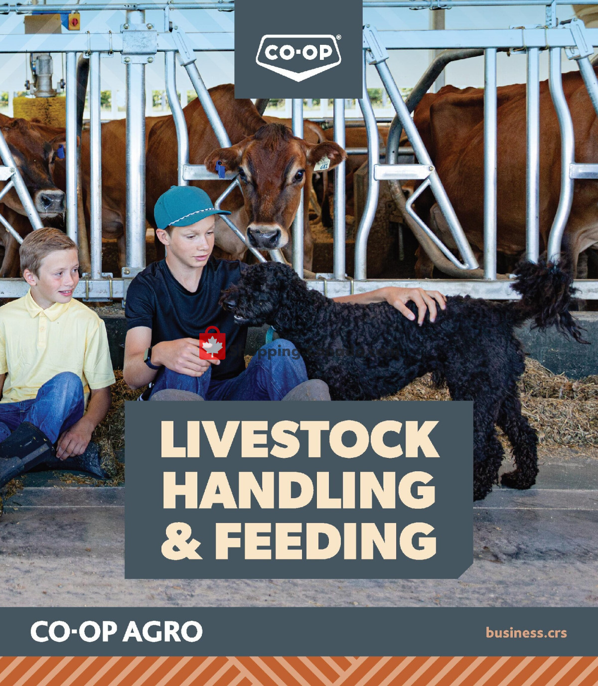 Co-op flyer from Thursday September 3, 2026 to Thursday October 29, 2026 - page 1