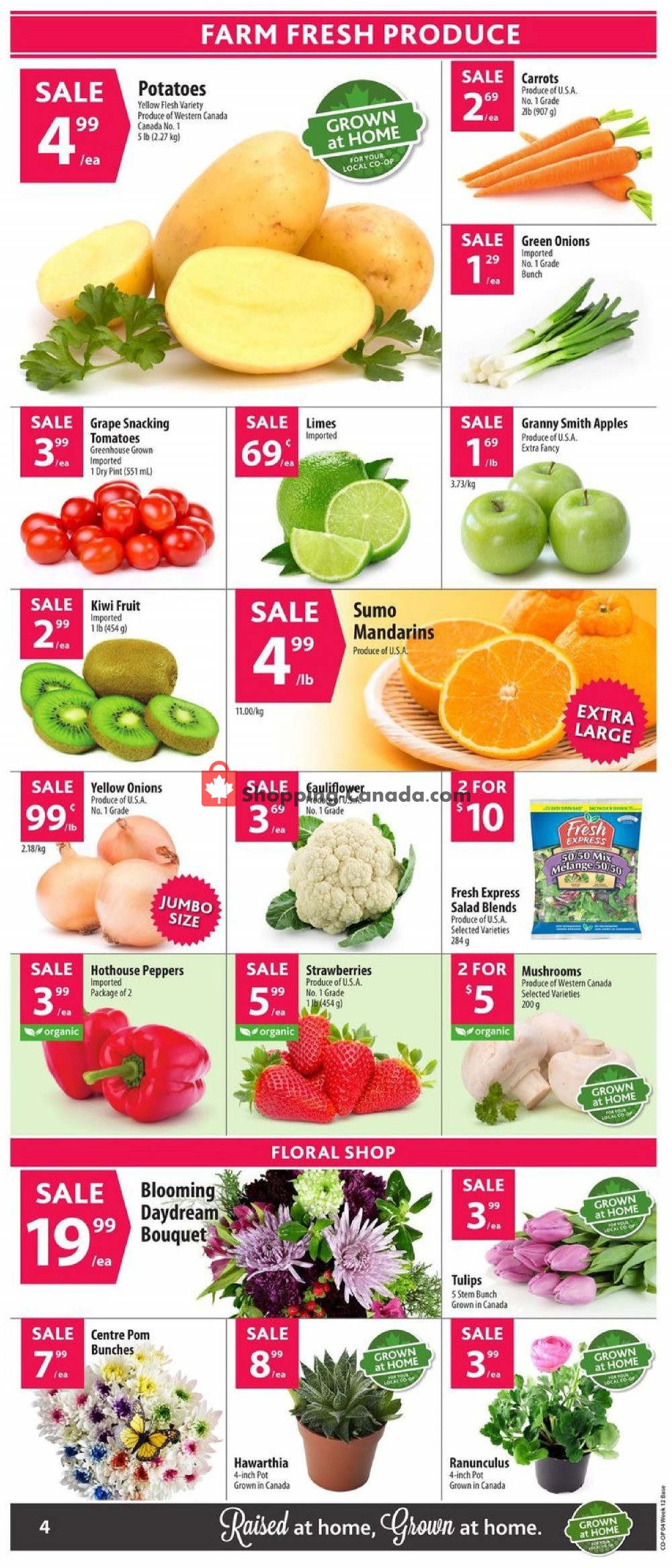 Co-op flyer from Thursday March 14, 2019 to Wednesday March 20, 2019 - page 5