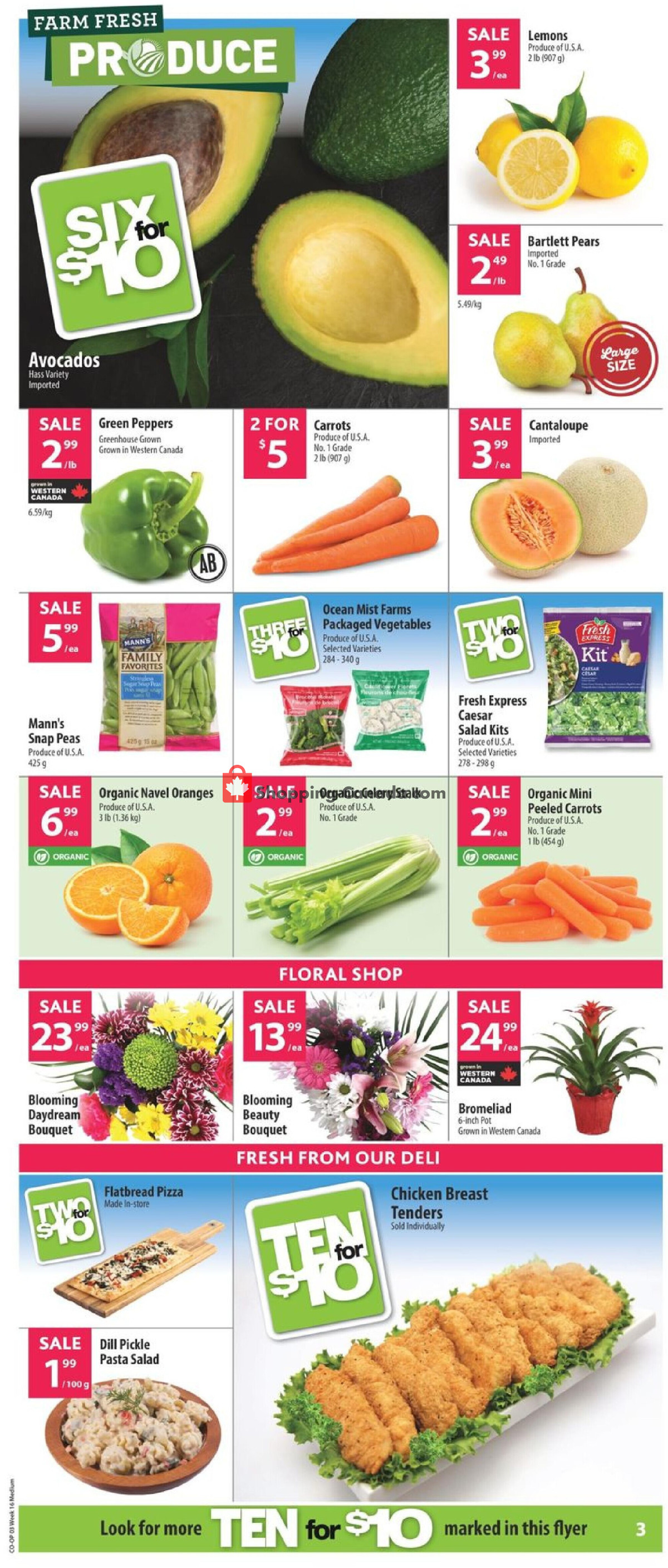 Co-op flyer from Thursday April 11, 2024 to Wednesday April 17, 2024 - page 6