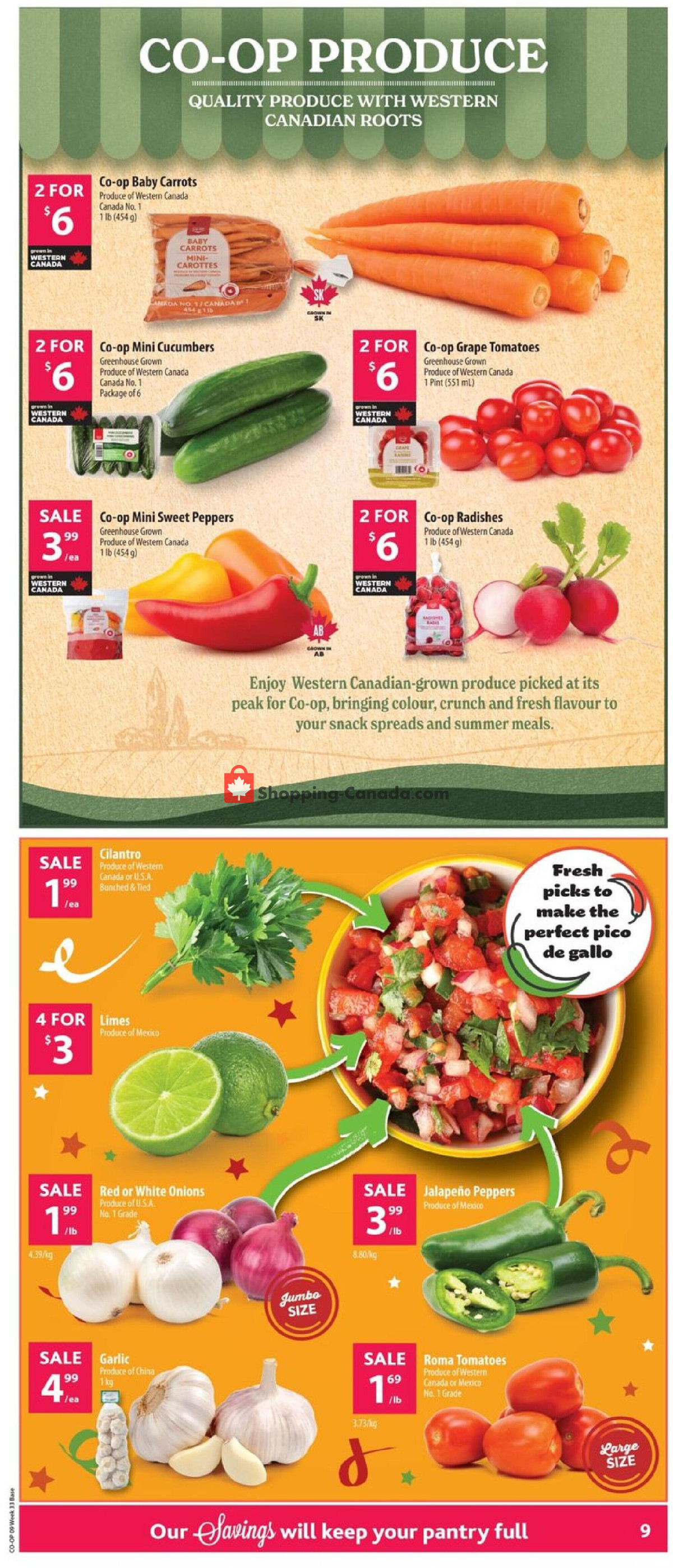 Co-op flyer from Thursday August 13, 2026 to Wednesday August 19, 2026 - page 17
