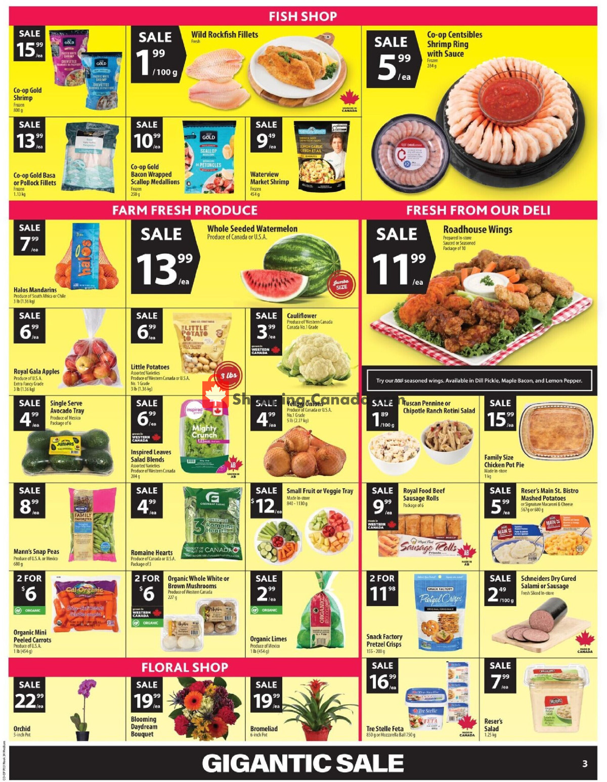Co-op flyer from Thursday August 20, 2026 to Wednesday August 26, 2026 - page 6