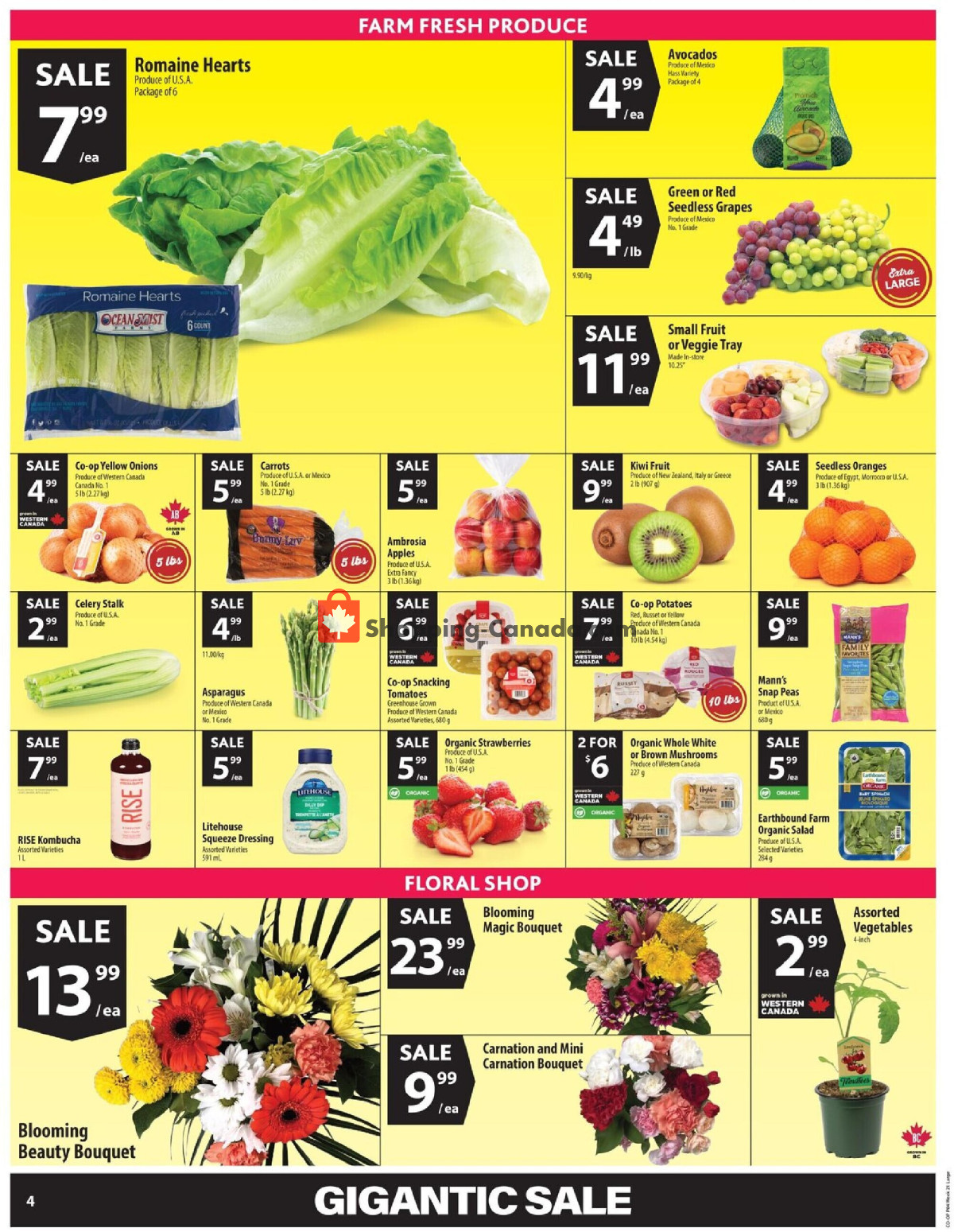 Co-op flyer from Thursday May 21, 2026 to Wednesday May 27, 2026 - page 7