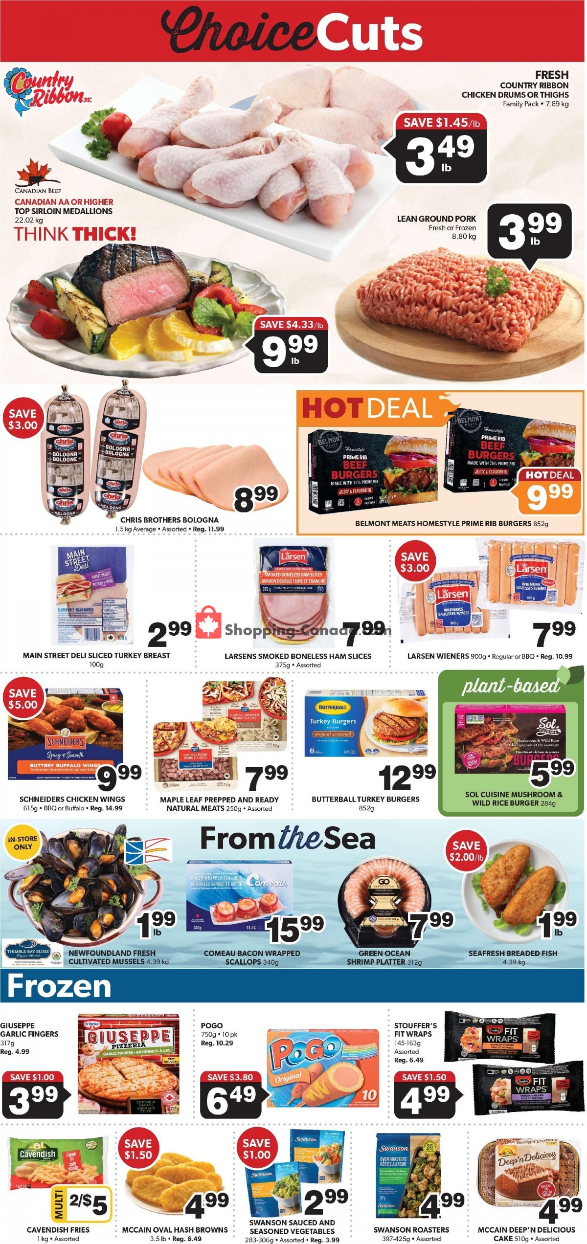 Coleman's flyer from Thursday June 23, 2022 to Wednesday June 29, 2022 - page 5