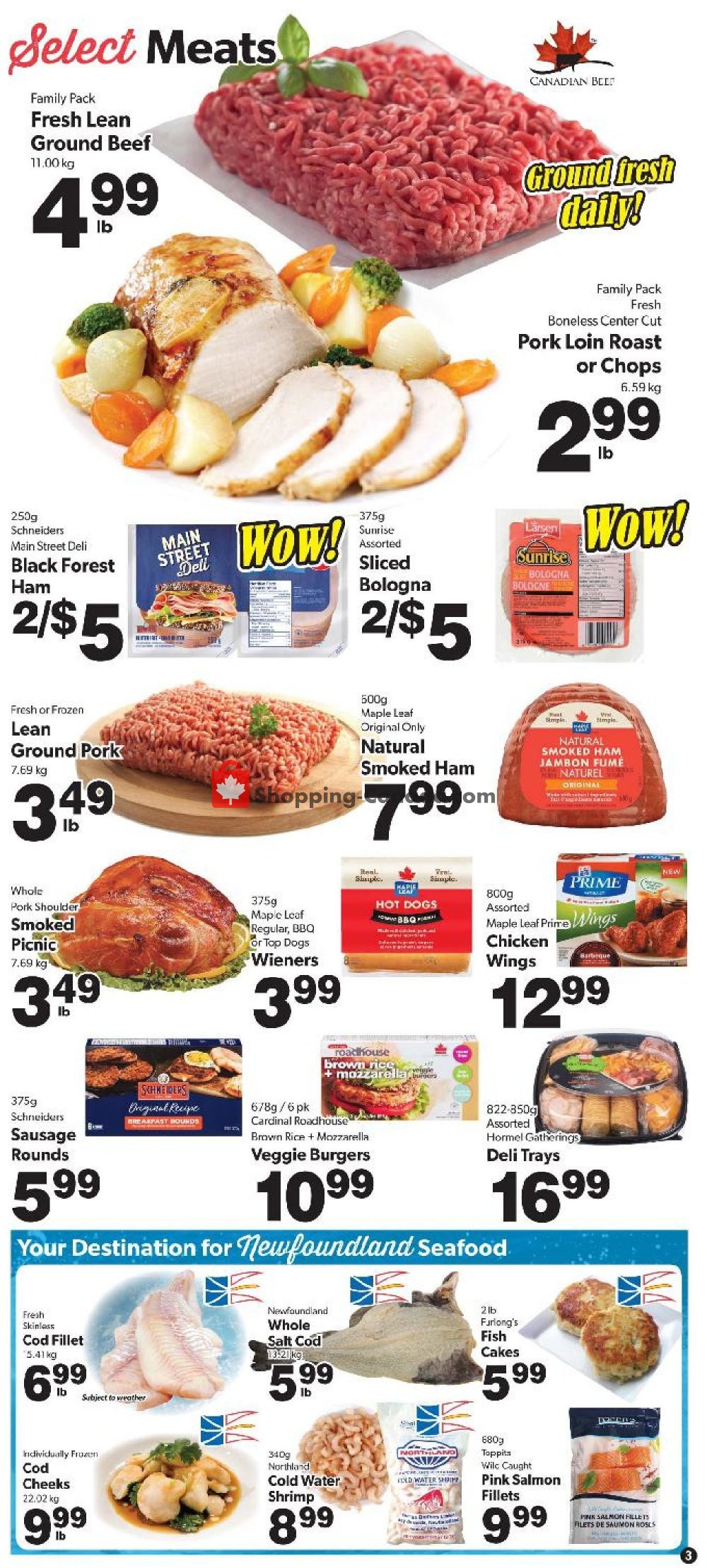 Coleman's flyer from Thursday January 16, 2020 to Wednesday January 22, 2020 - page 3