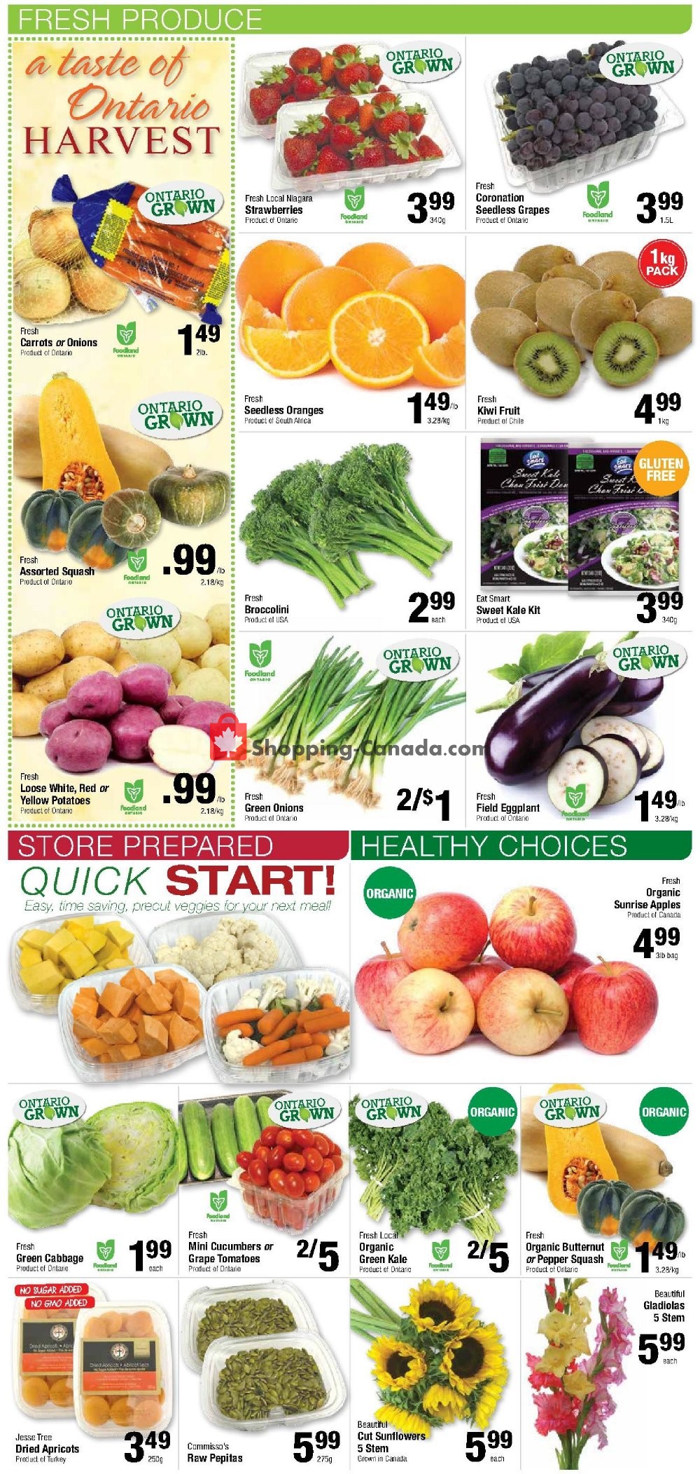Commisso's Fresh Foods flyer from Friday September 6, 2019 to Thursday September 12, 2019 - page 2
