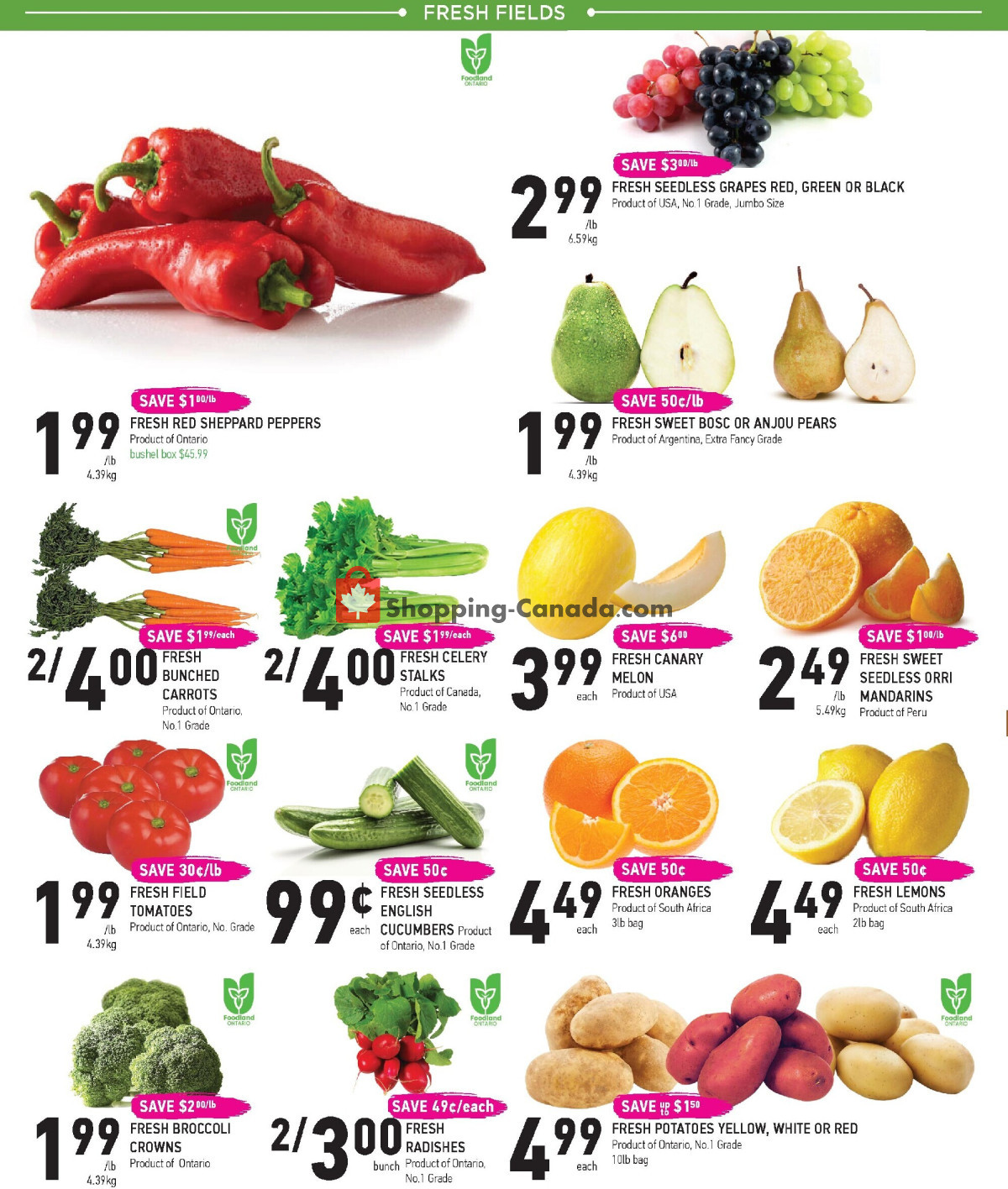 Coppa's Fresh Market flyer from Thursday September 3, 2026 to Wednesday September 9, 2026 - page 2