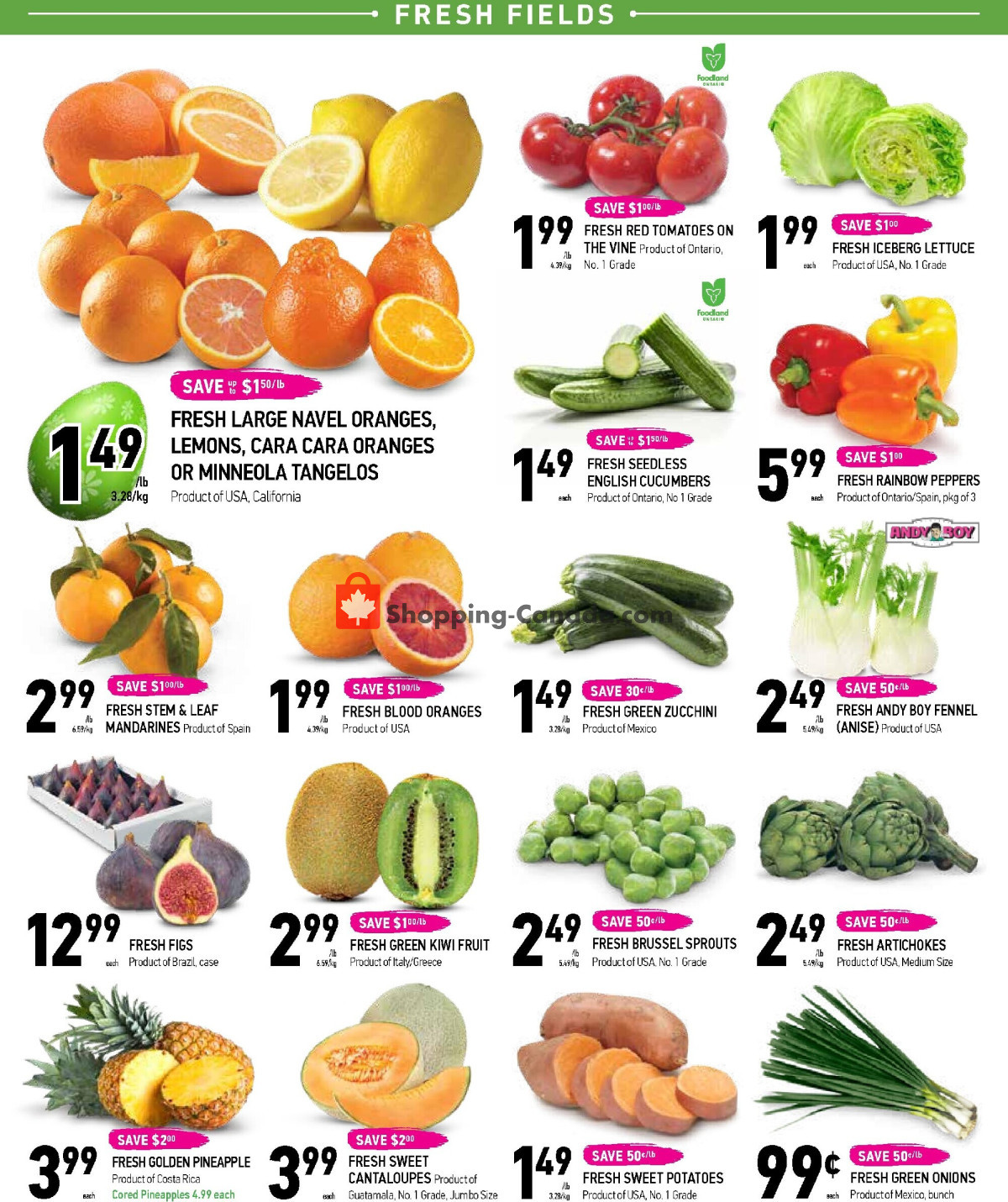 Coppa's Fresh Market flyer from Thursday March 21, 2024 to Wednesday April 3, 2024 - page 2