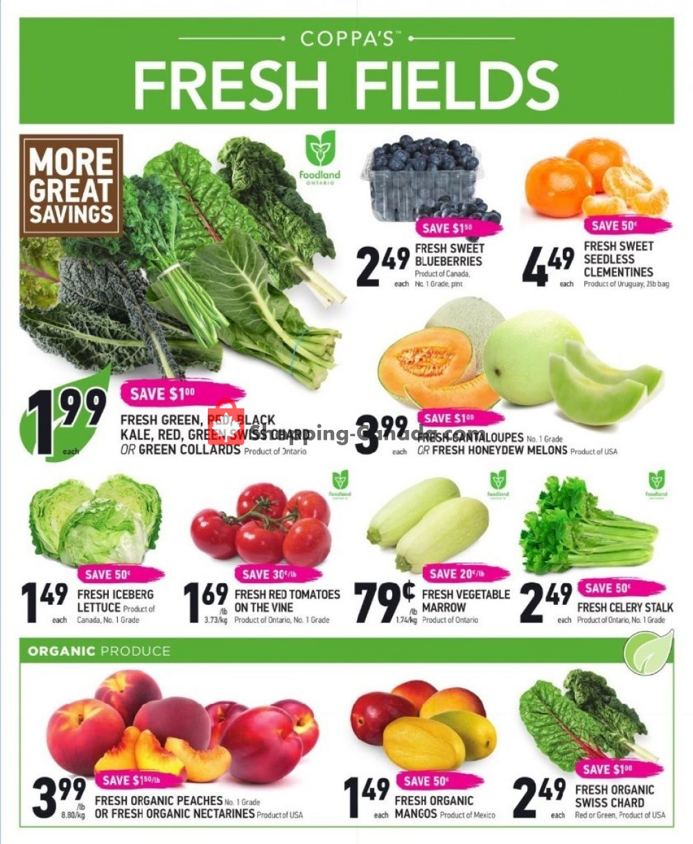 Coppa's Fresh Market flyer from Thursday July 18, 2019 to Wednesday July 24, 2019 - page 2