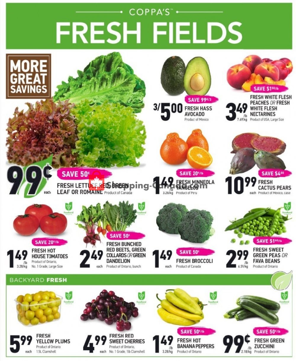 Coppa's Fresh Market flyer from Friday July 26, 2019 to Thursday August 1, 2019 - page 2