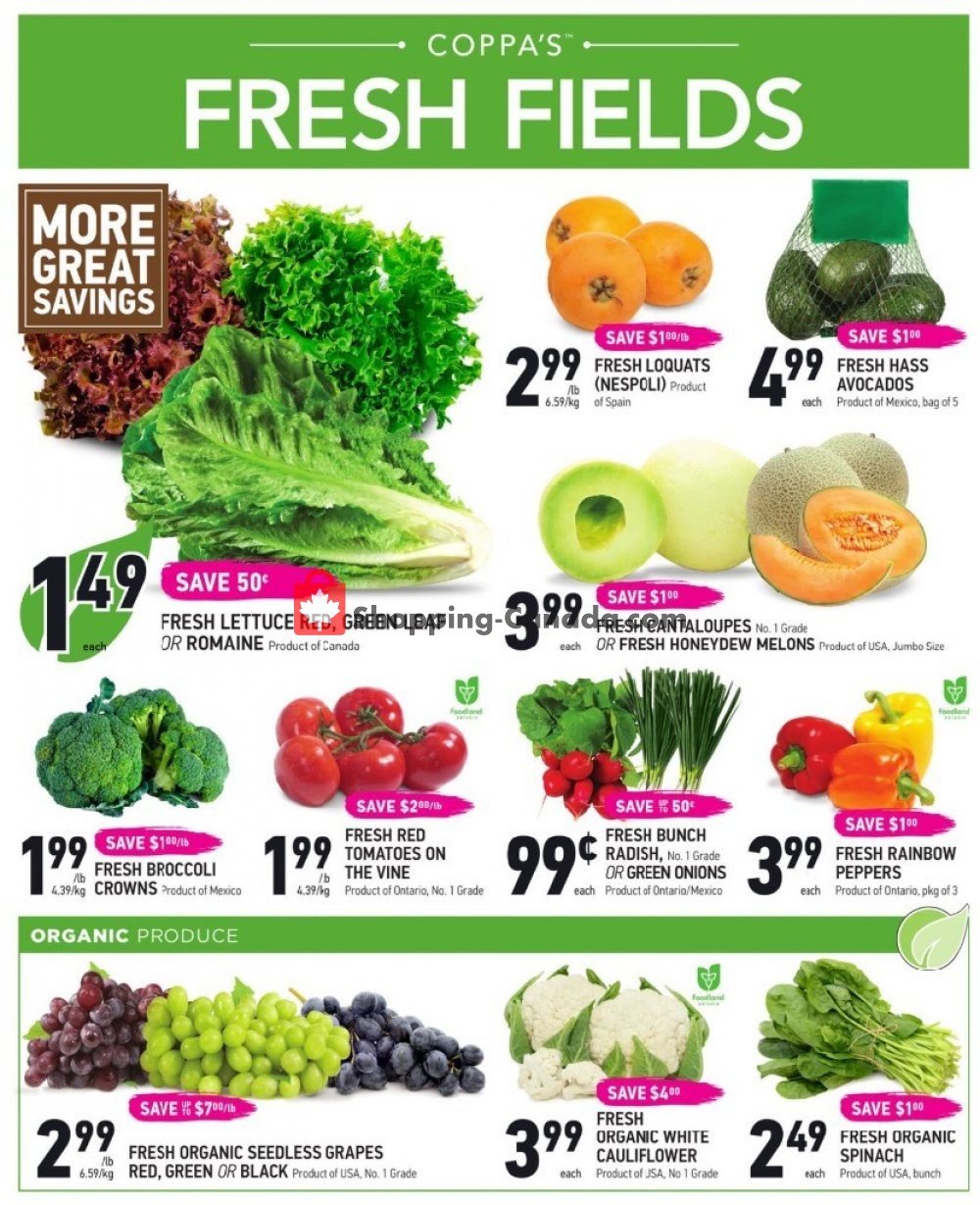 Coppa's Fresh Market flyer from Thursday June 20, 2019 to Wednesday June 26, 2019 - page 2
