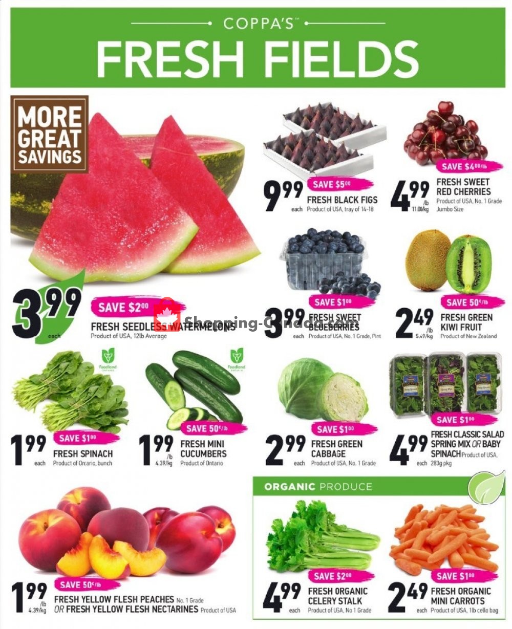 Coppa's Fresh Market flyer from Thursday June 27, 2019 to Wednesday July 3, 2019 - page 2