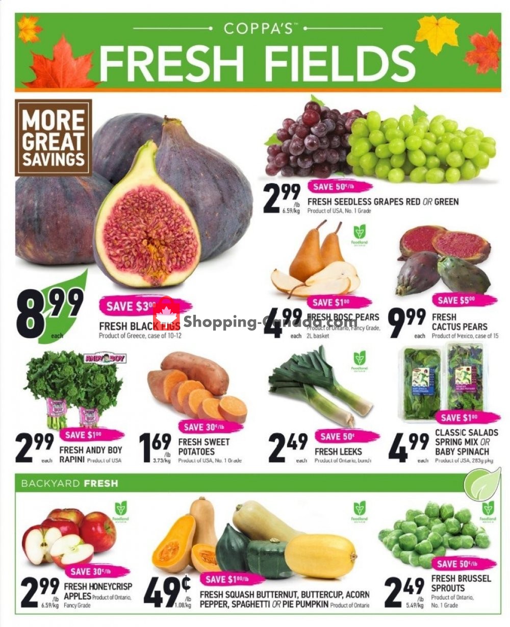 Coppa's Fresh Market flyer from Thursday October 3, 2019 to Wednesday October 16, 2019 - page 2
